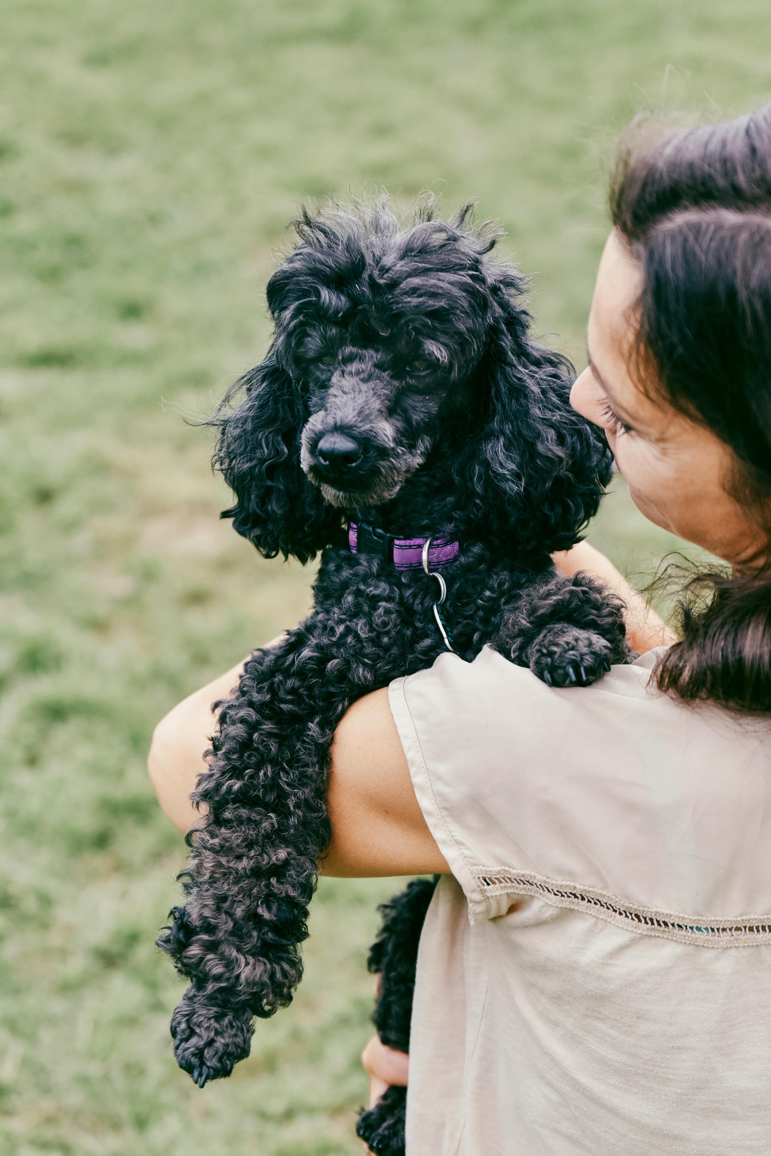 Iulia and Jerry. Photographer Katia Velich Toronto Oakville GTA