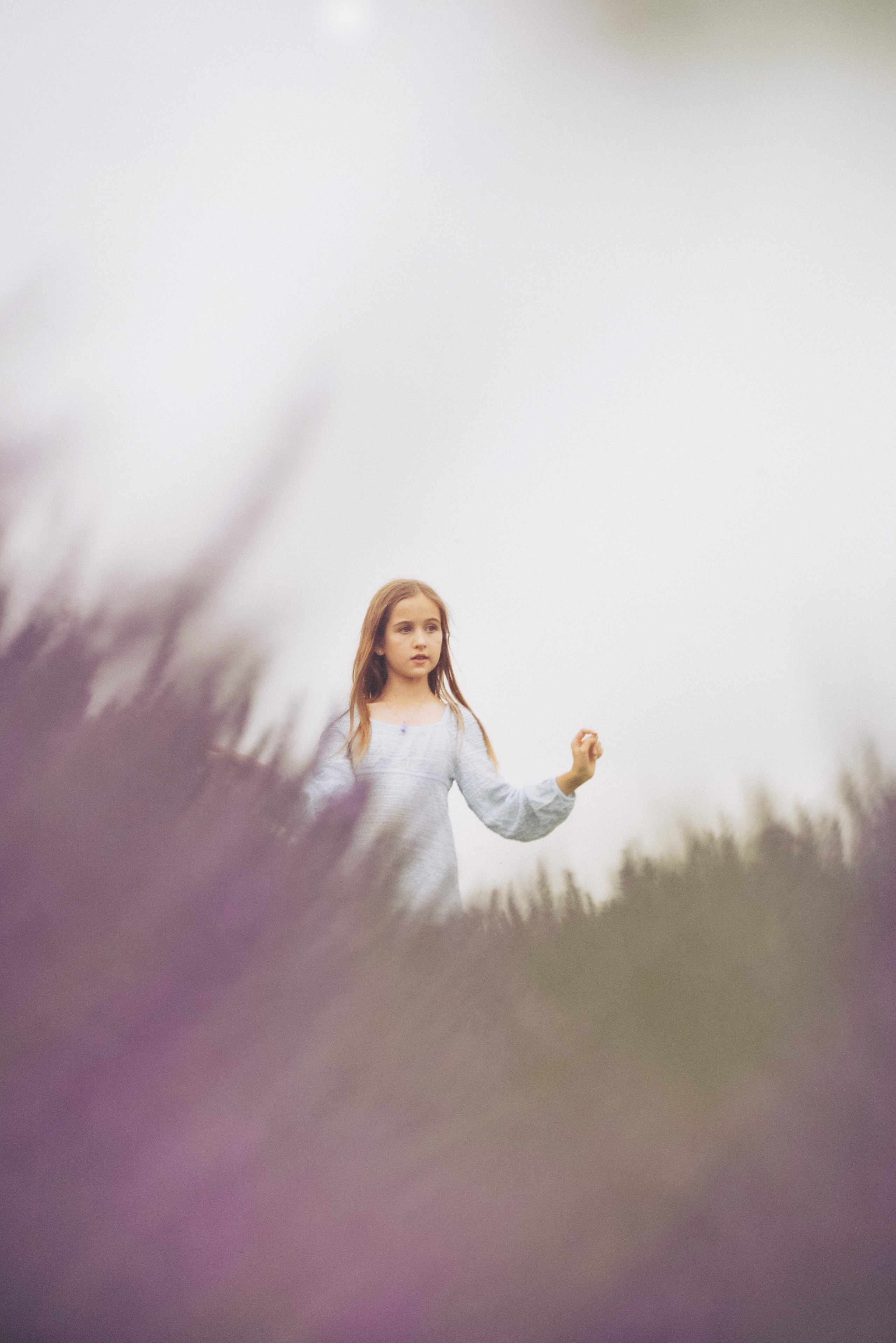 Lavender Farms, Ontario. Photographer Katia Velich Toronto Oakville GTA