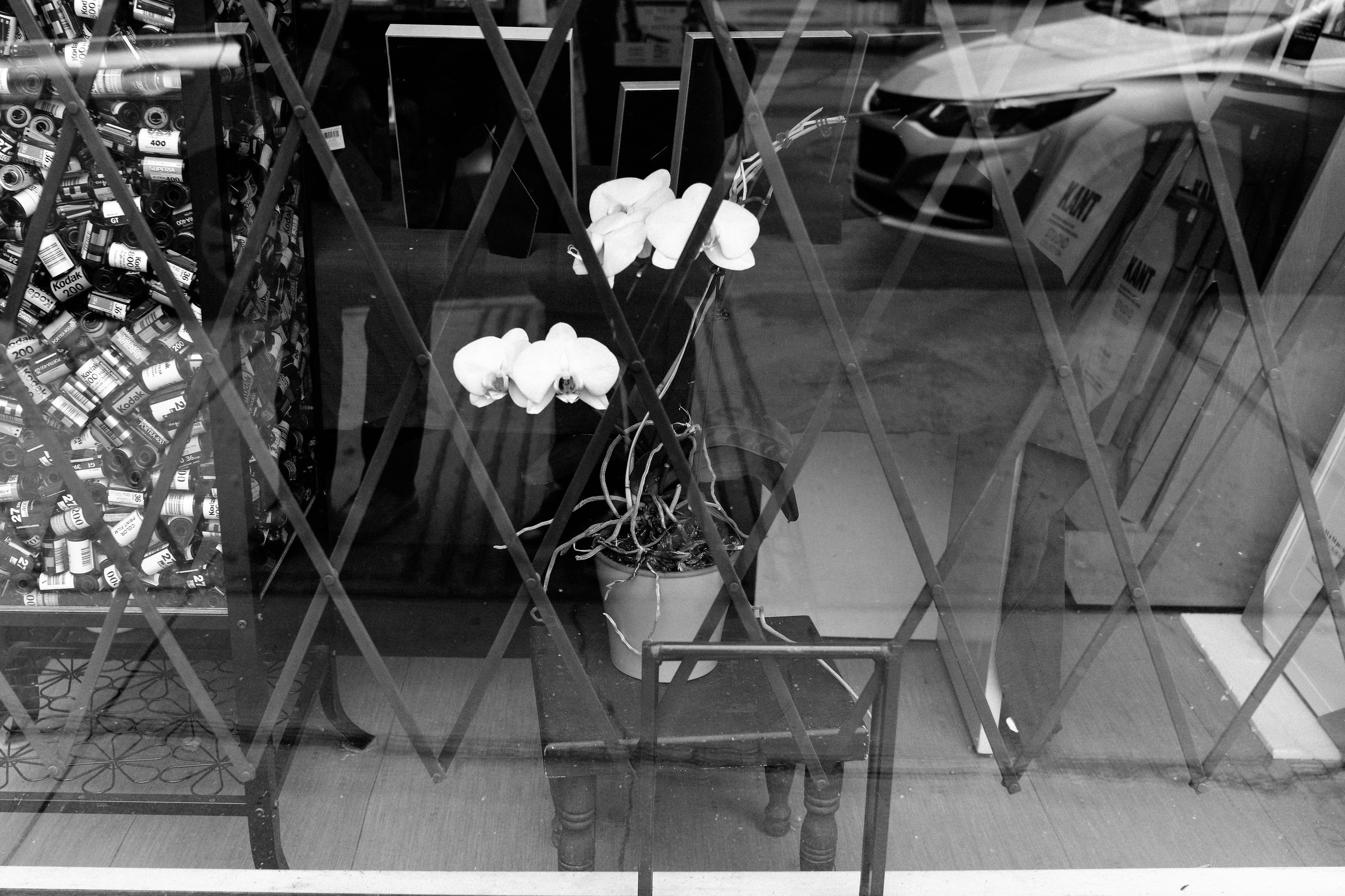 Montreal, March 2024. Photographer Katia Velich Toronto Oakville GTA