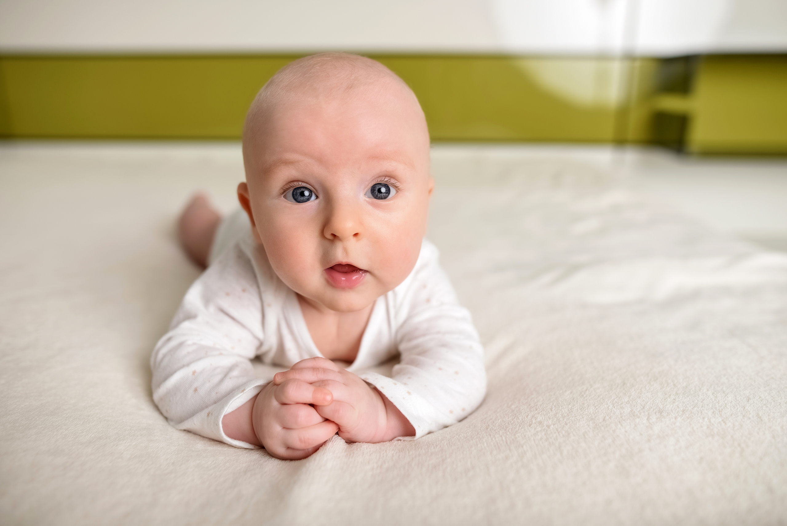 Misha. Photographer Katia Velich Toronto Oakville GTA