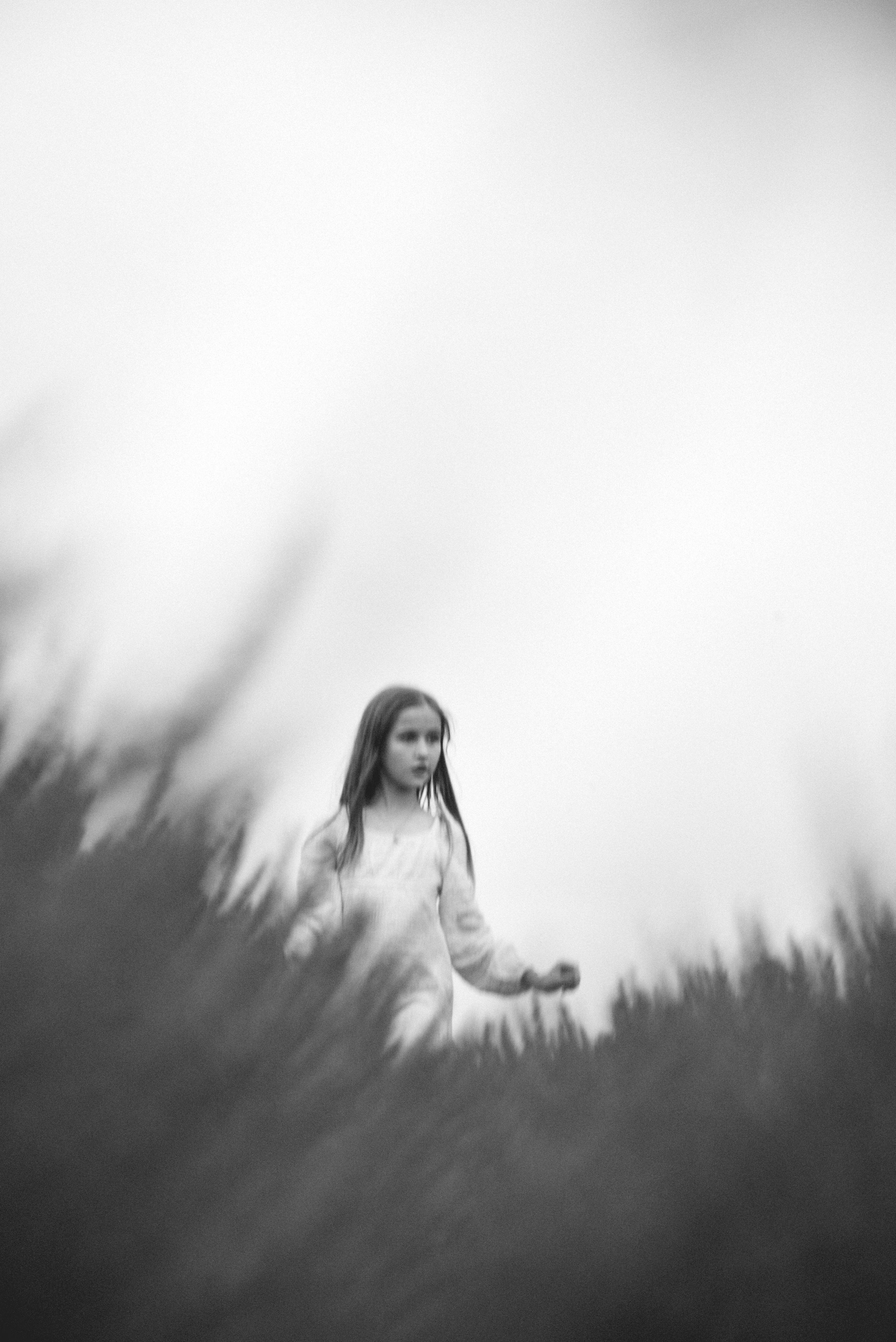 Lavender Farms, Ontario. Photographer Katia Velich Toronto Oakville GTA