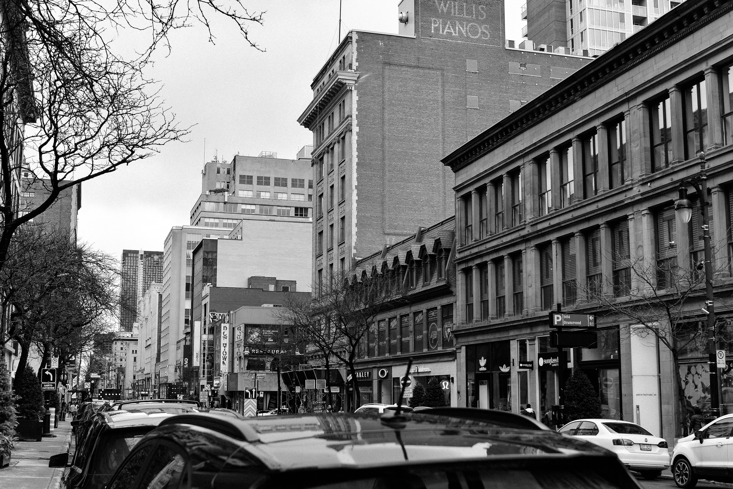 Montreal, March 2024. Photographer Katia Velich Toronto Oakville GTA