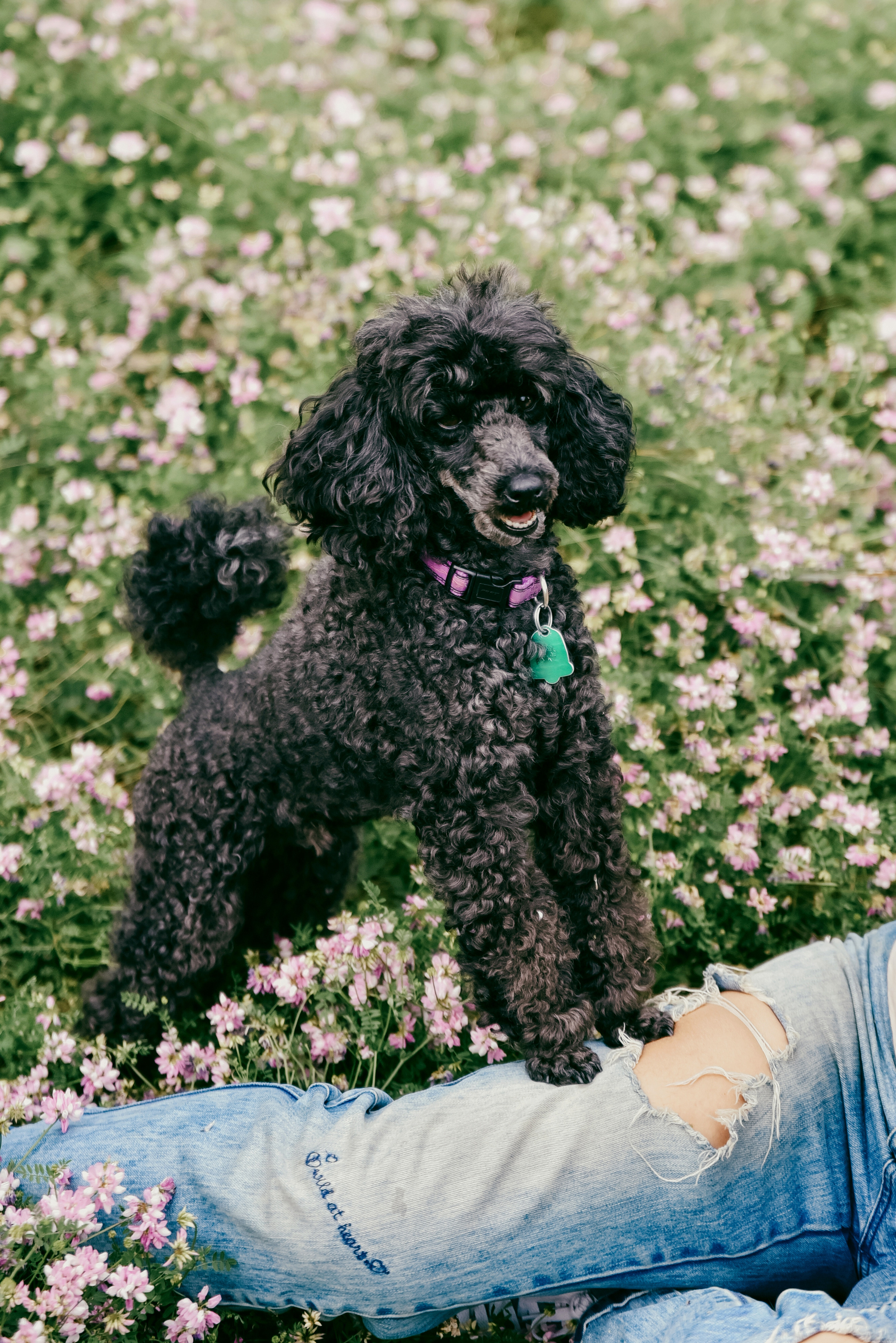 Iulia and Jerry. Photographer Katia Velich Toronto Oakville GTA