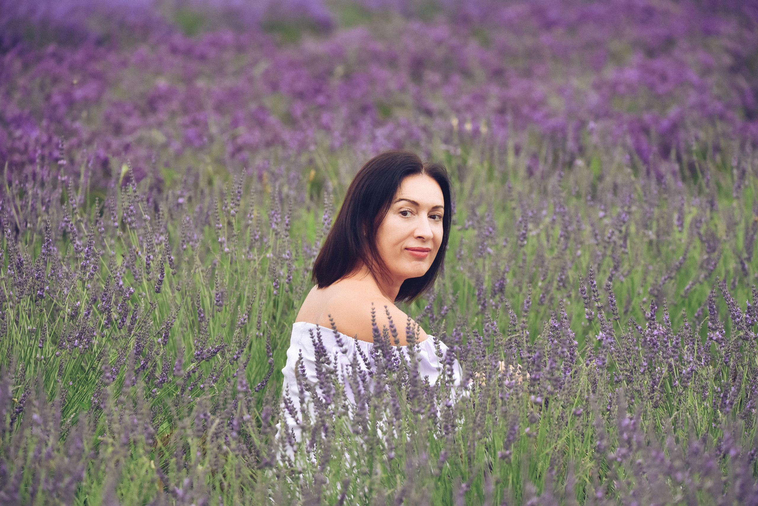 Lavender Farms, Ontario. Photographer Katia Velich Toronto Oakville GTA