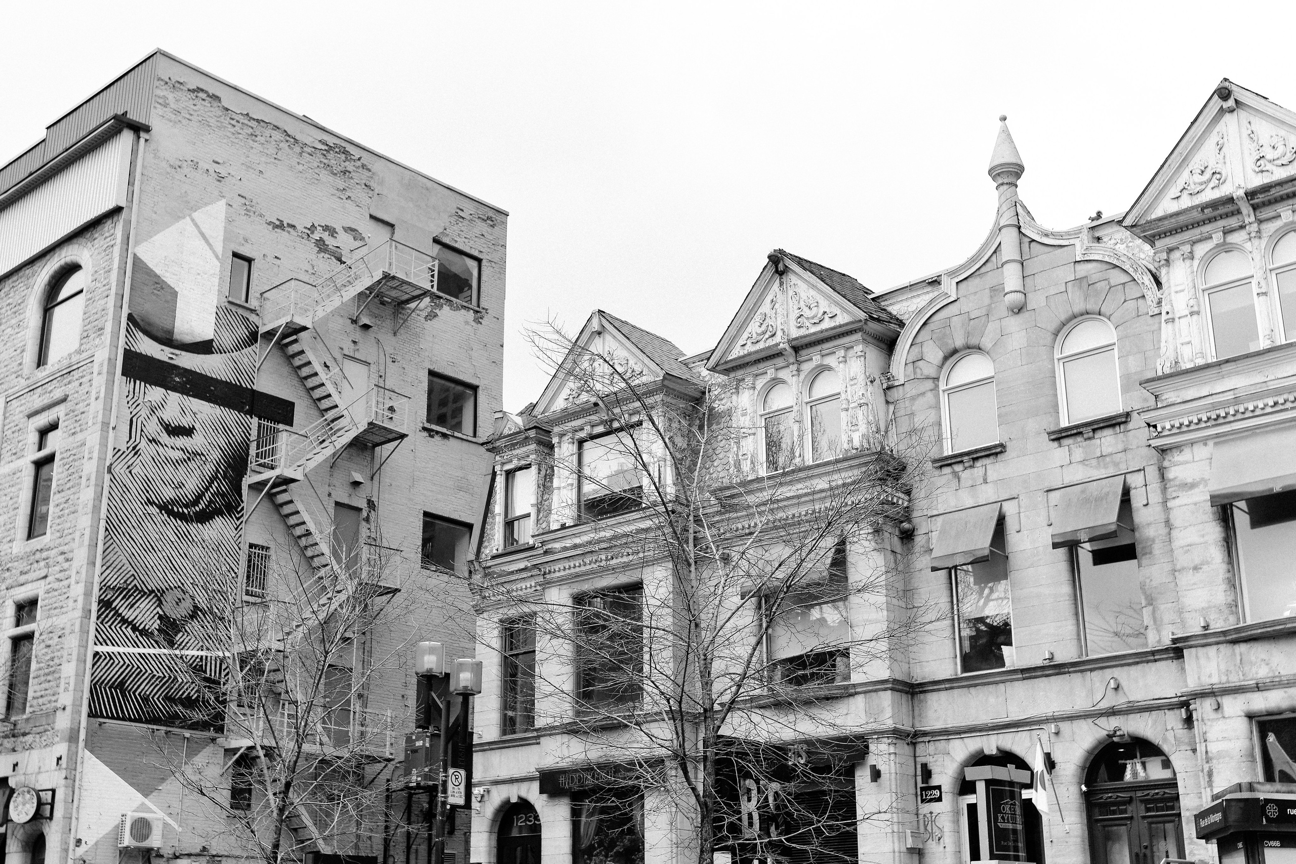 Montreal, March 2024. Photographer Katia Velich Toronto Oakville GTA