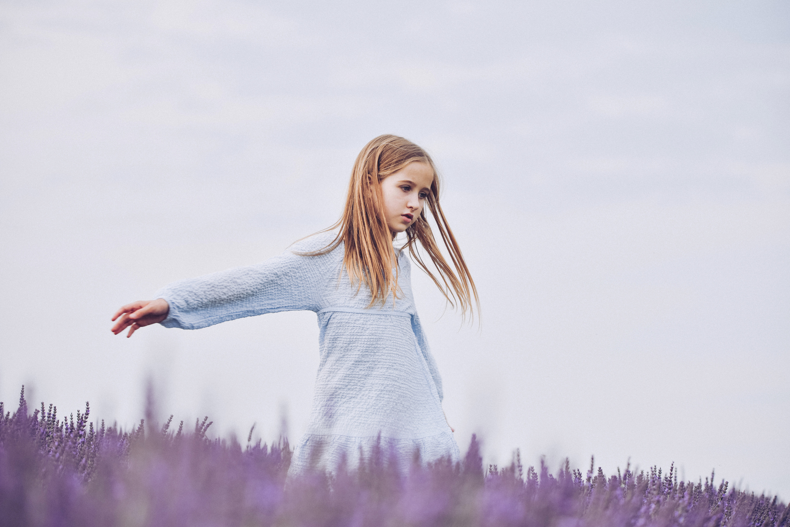 Lavender Farms, Ontario. Photographer Katia Velich Toronto Oakville GTA