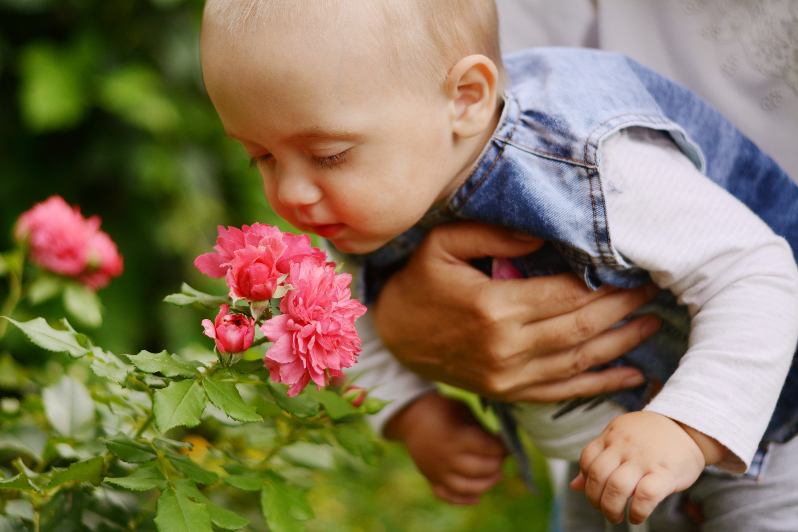 Nikita. Photographer Katia Velich Toronto Oakville GTA