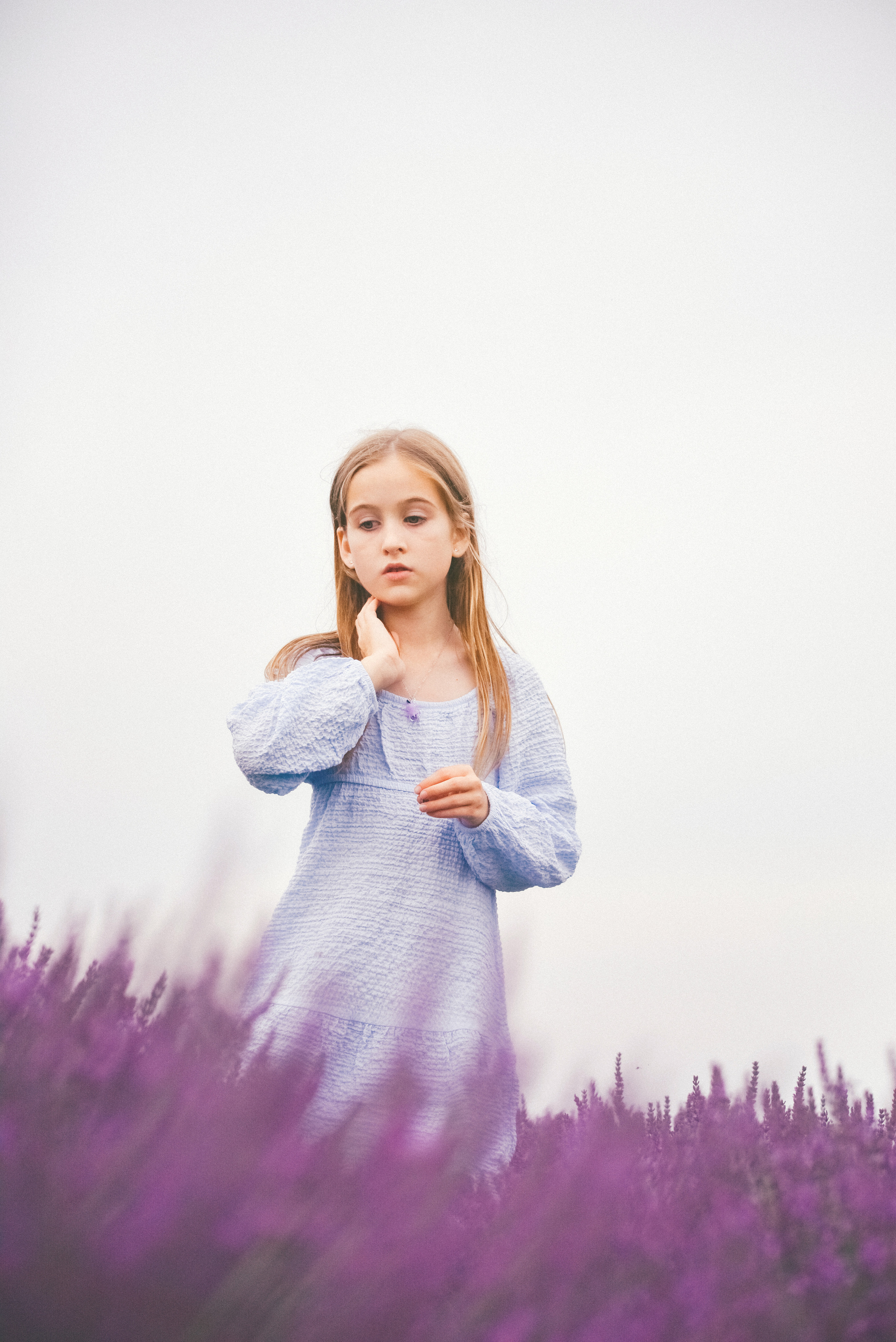 Lavender Farms, Ontario. Photographer Katia Velich Toronto Oakville GTA