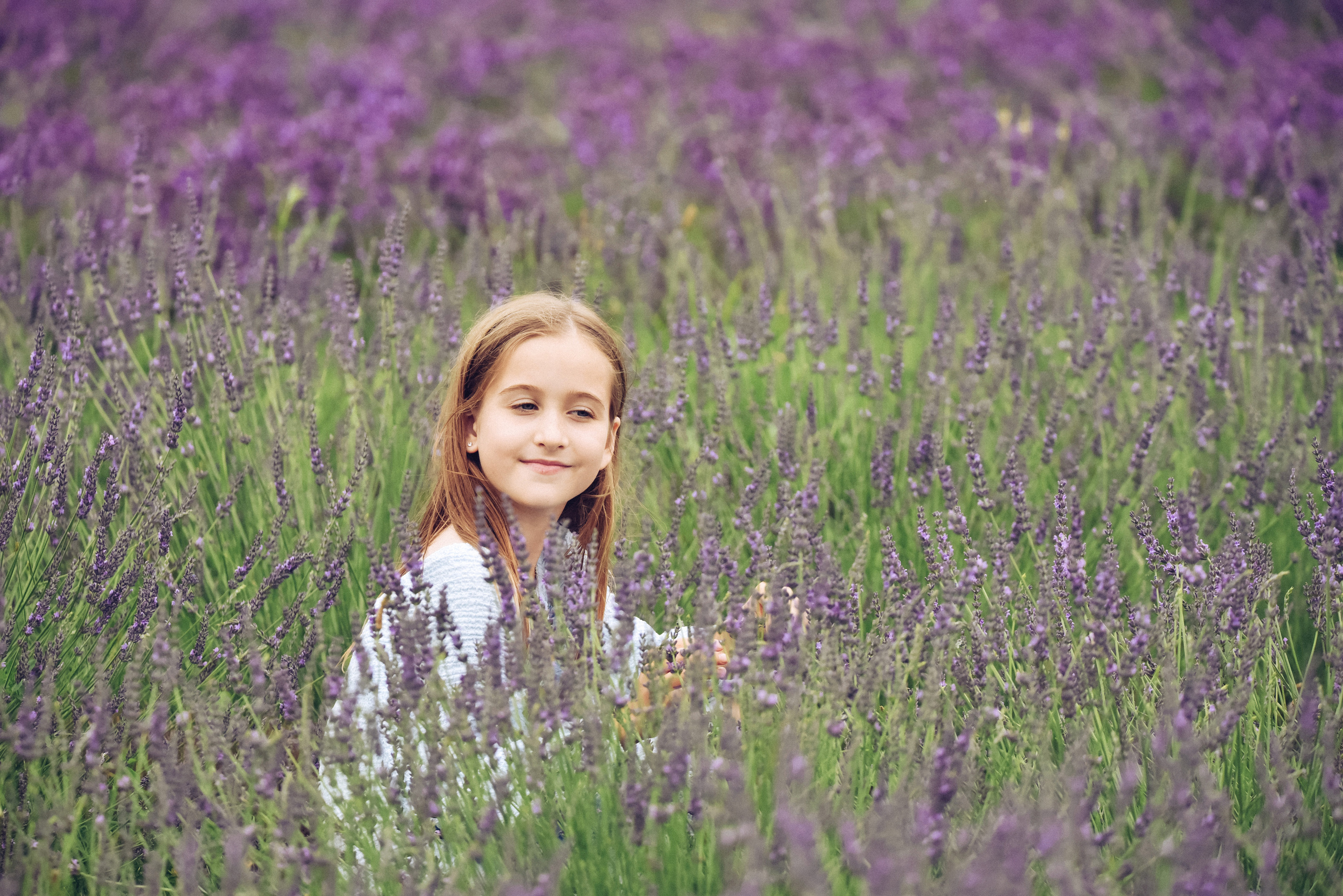 Lavender Farms, Ontario. Photographer Katia Velich Toronto Oakville GTA