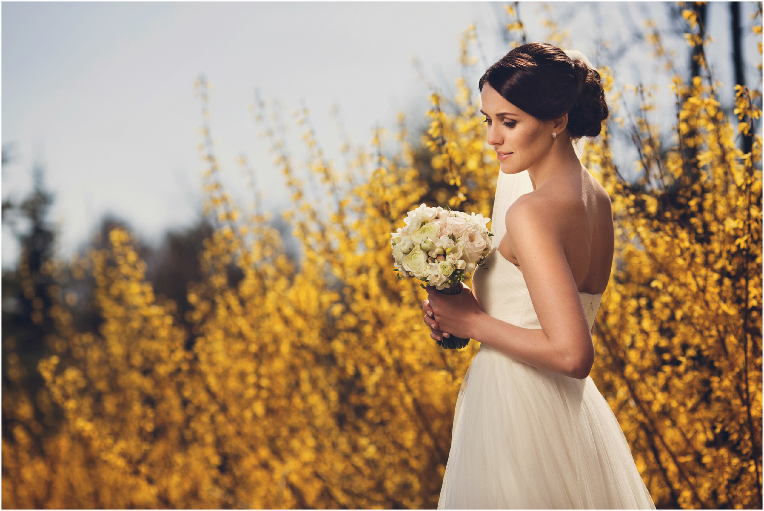 Весiлля / Wedding. Професійний фотограф Дмитро Білоцерковський