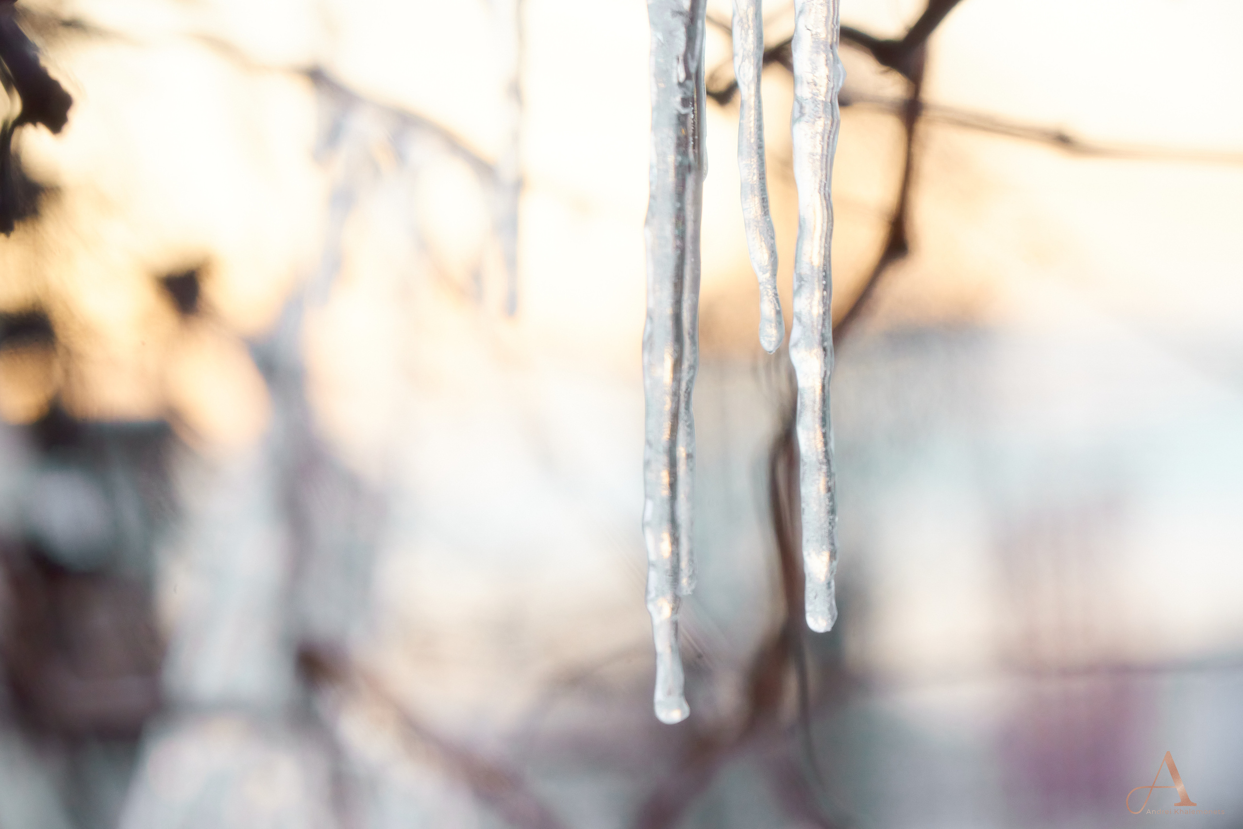 Зима, мороз, сосульки на ветках.