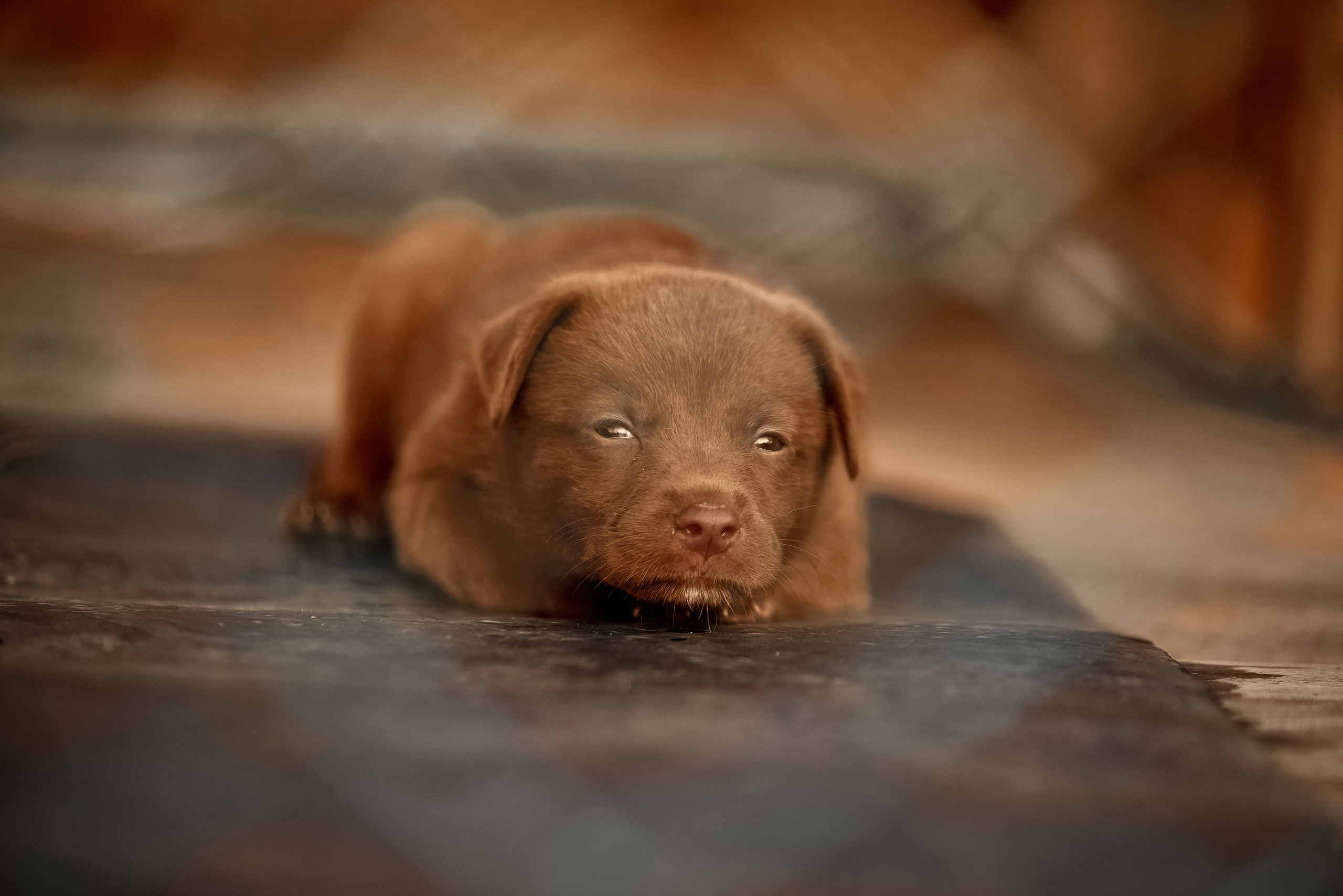 Блог Фотографа, взгляд сквозь объектив, мой творческий путь. Профессиональный Фотограф Халемонец Андрей в Кривой Рог Днепр Украина