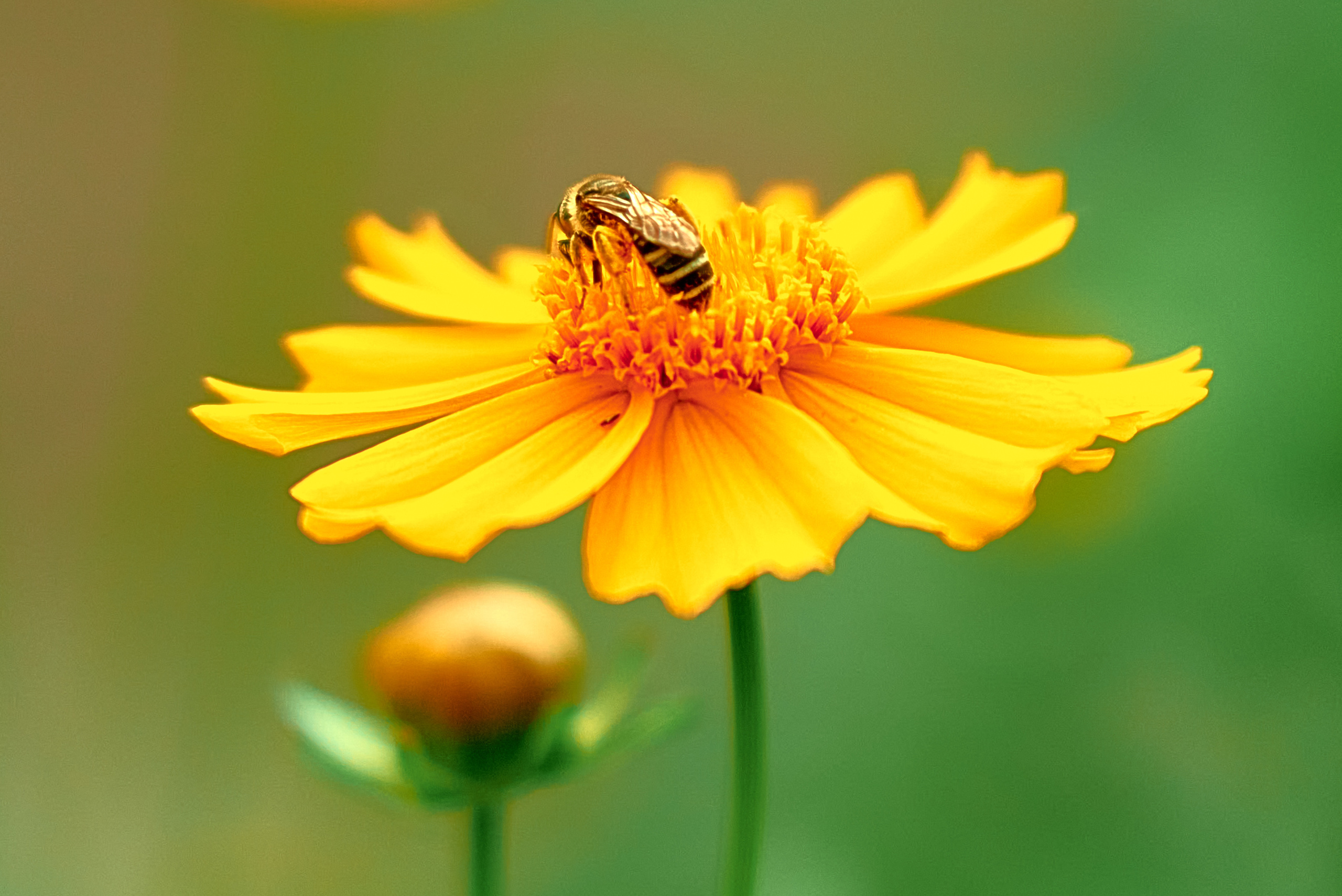 Блог Фотографа, взгляд сквозь объектив, мой творческий путь. Профессиональный Фотограф Халемонец Андрей в Кривой Рог Днепр Украина