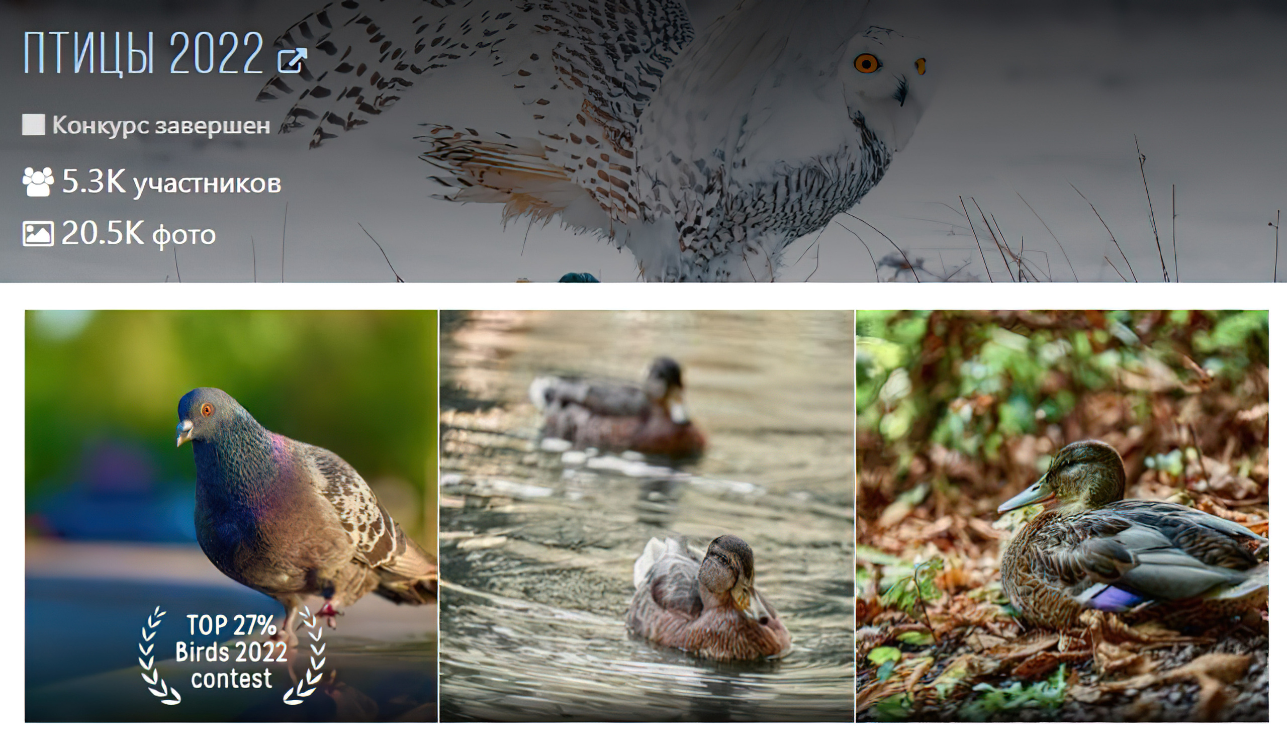 Блог Фотографа, взгляд сквозь объектив, мой творческий путь. Профессиональный Фотограф Халемонец Андрей в Кривой Рог Днепр Украина