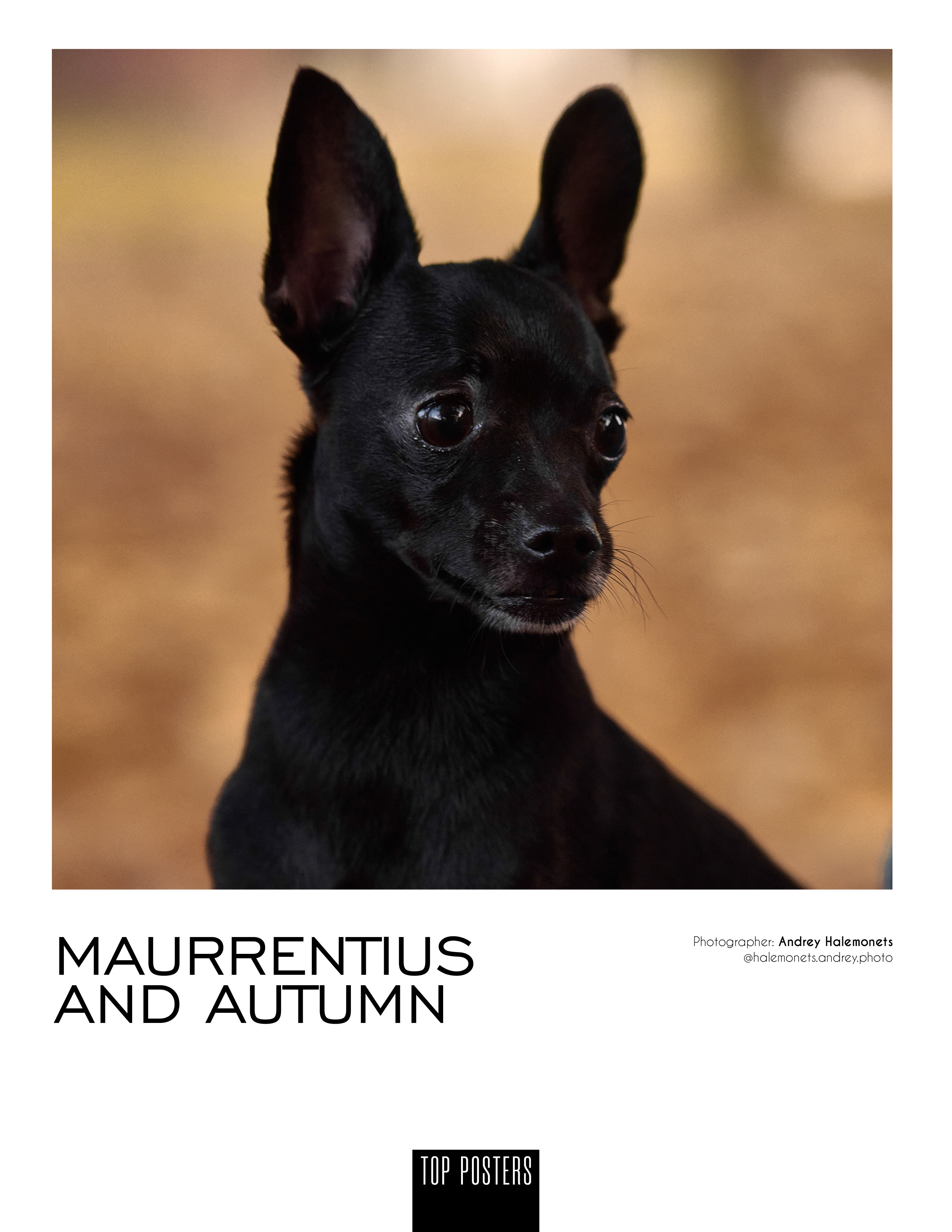 Блог Фотографа, взгляд сквозь объектив, мой творческий путь. Профессиональный Фотограф Халемонец Андрей в Кривой Рог Днепр Украина