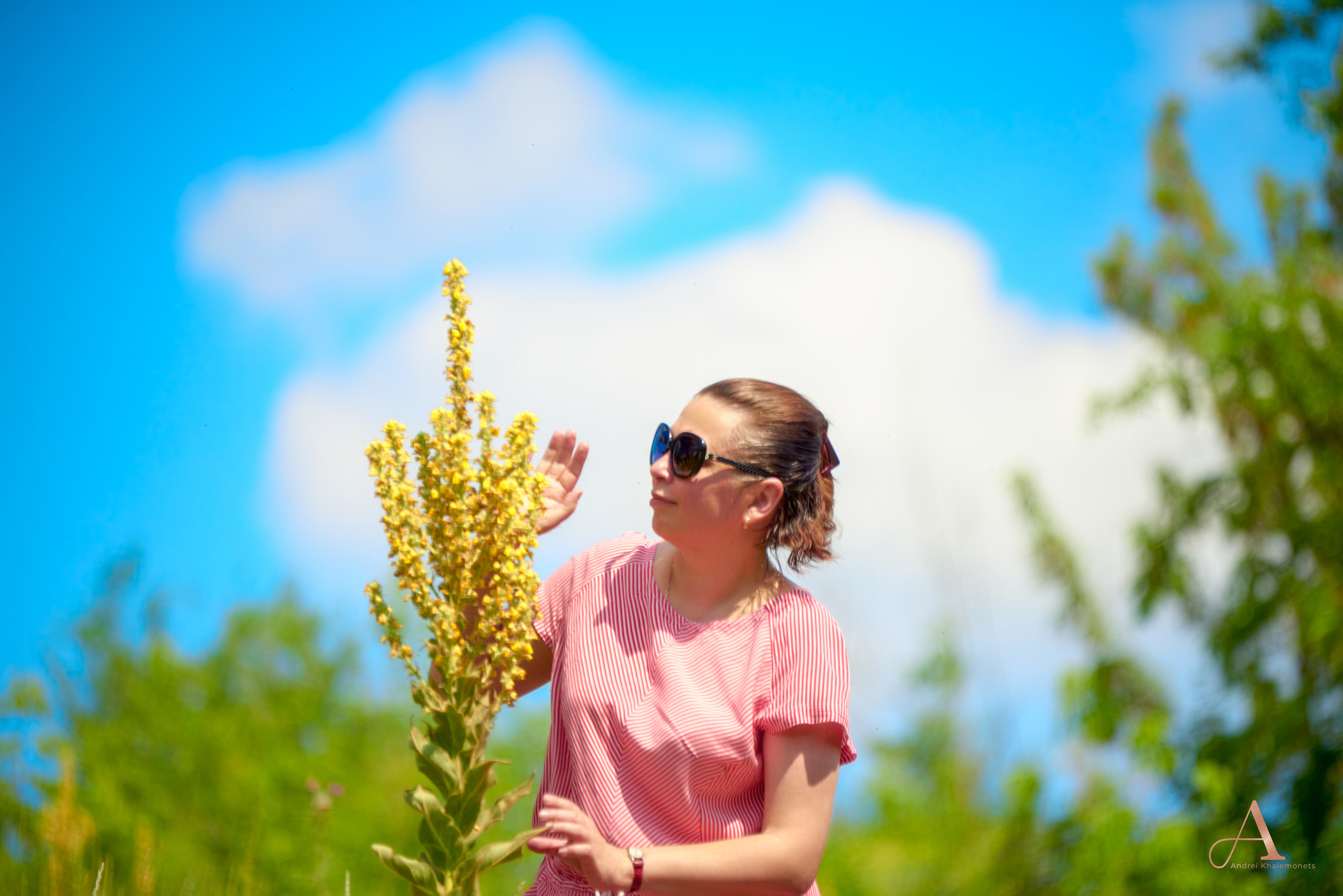 Прогулочная фотосессия в розовом платье на лугу на фоне голубого неба.