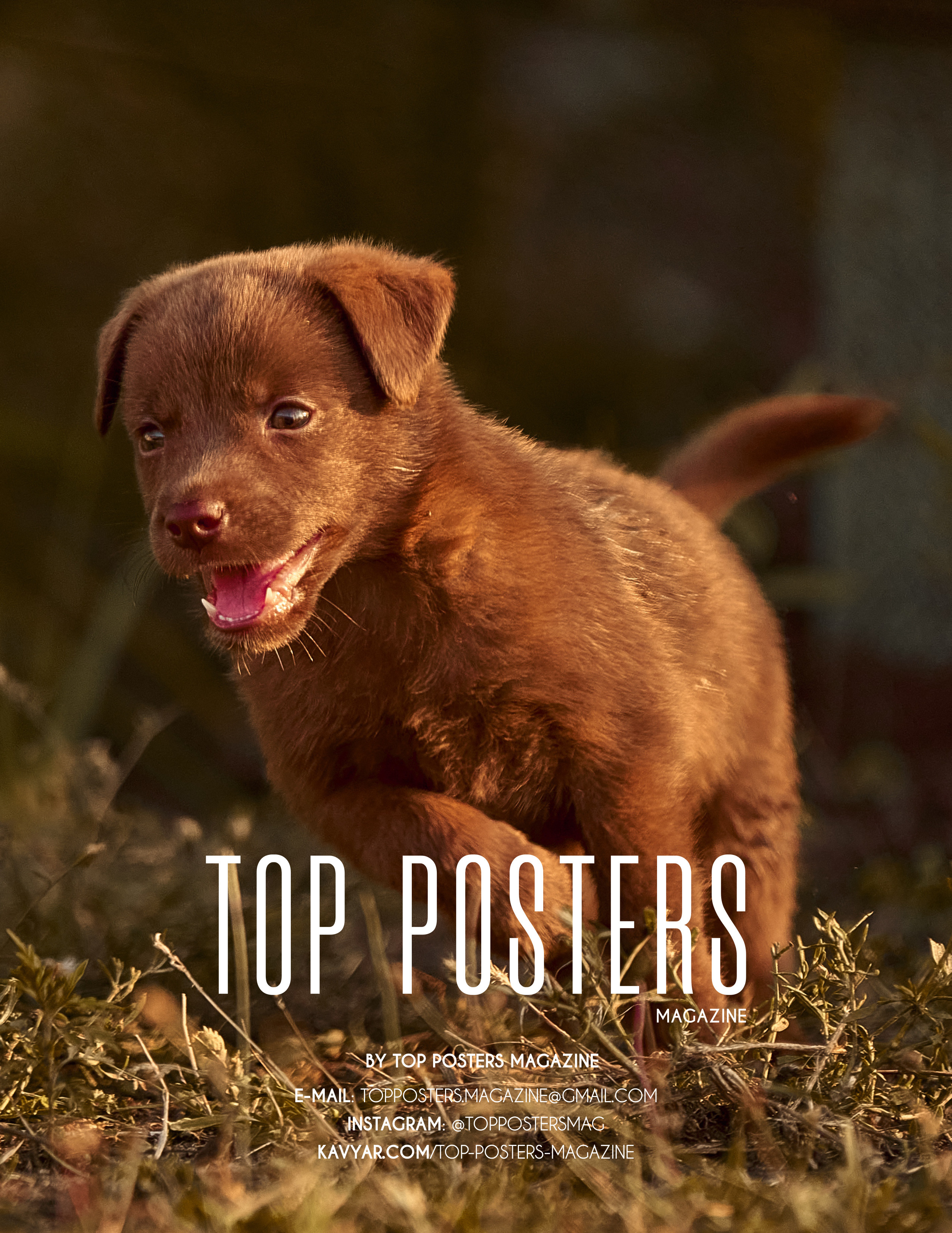 Блог Фотографа, взгляд сквозь объектив, мой творческий путь. Профессиональный Фотограф Халемонец Андрей в Кривой Рог Днепр Украина