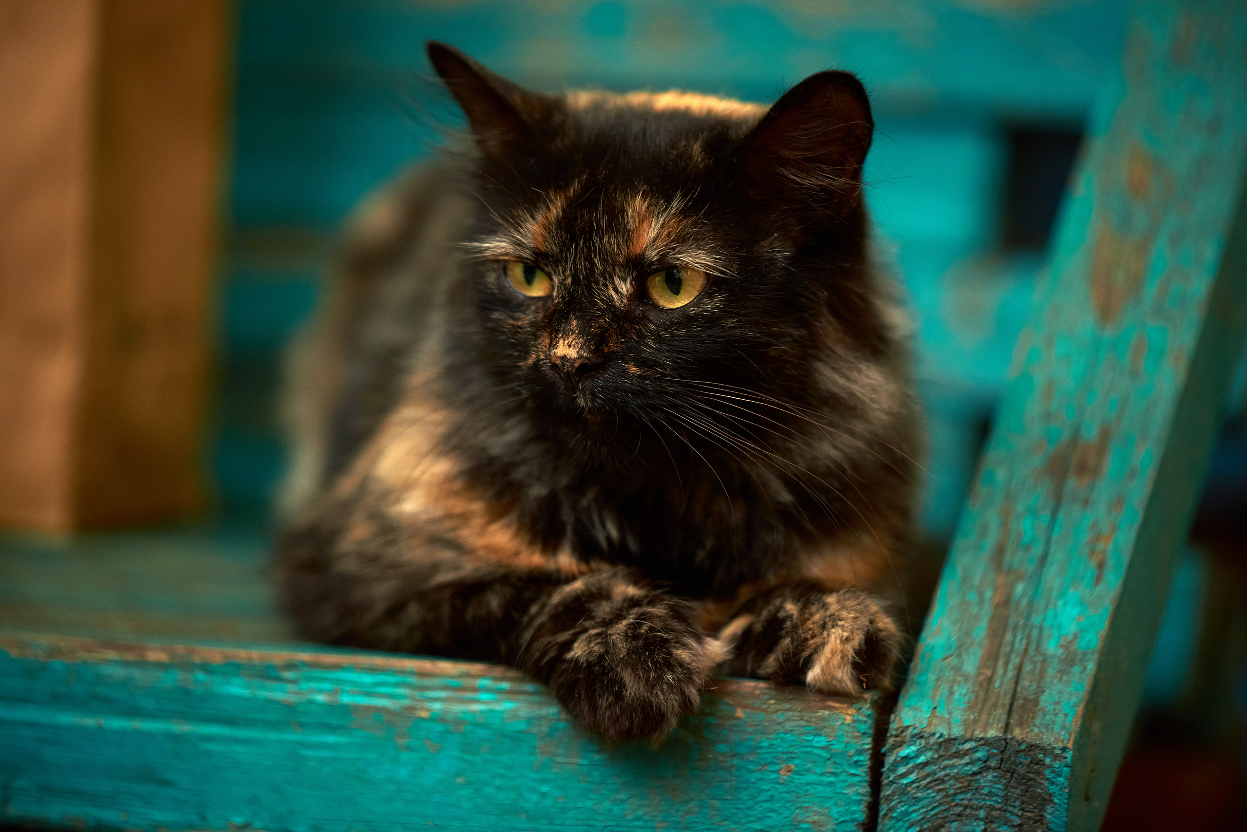 Блог Фотографа, взгляд сквозь объектив, мой творческий путь. Профессиональный Фотограф Халемонец Андрей в Кривой Рог Днепр Украина