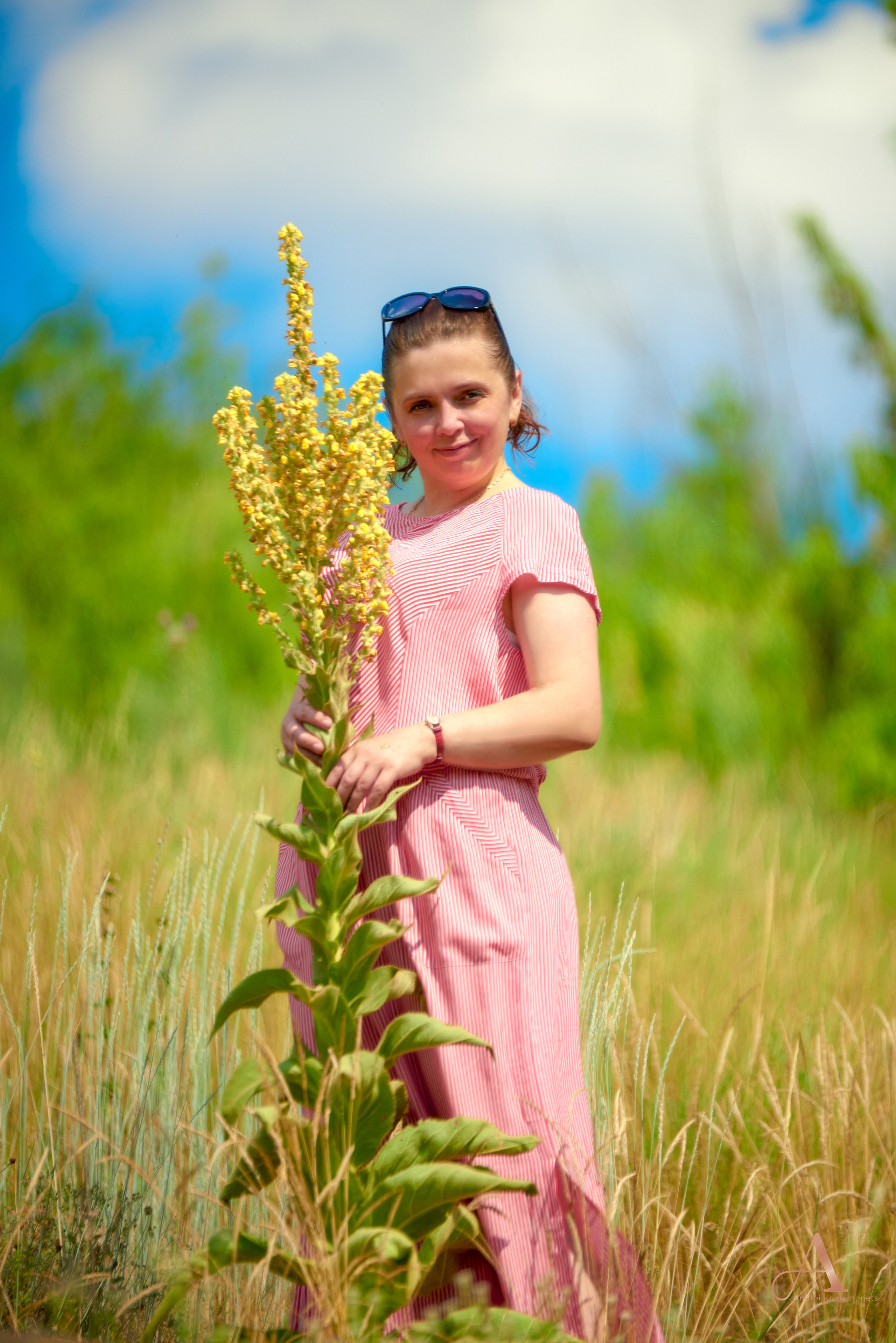 Прогулочная фотосессия в розовом платье на лугу.