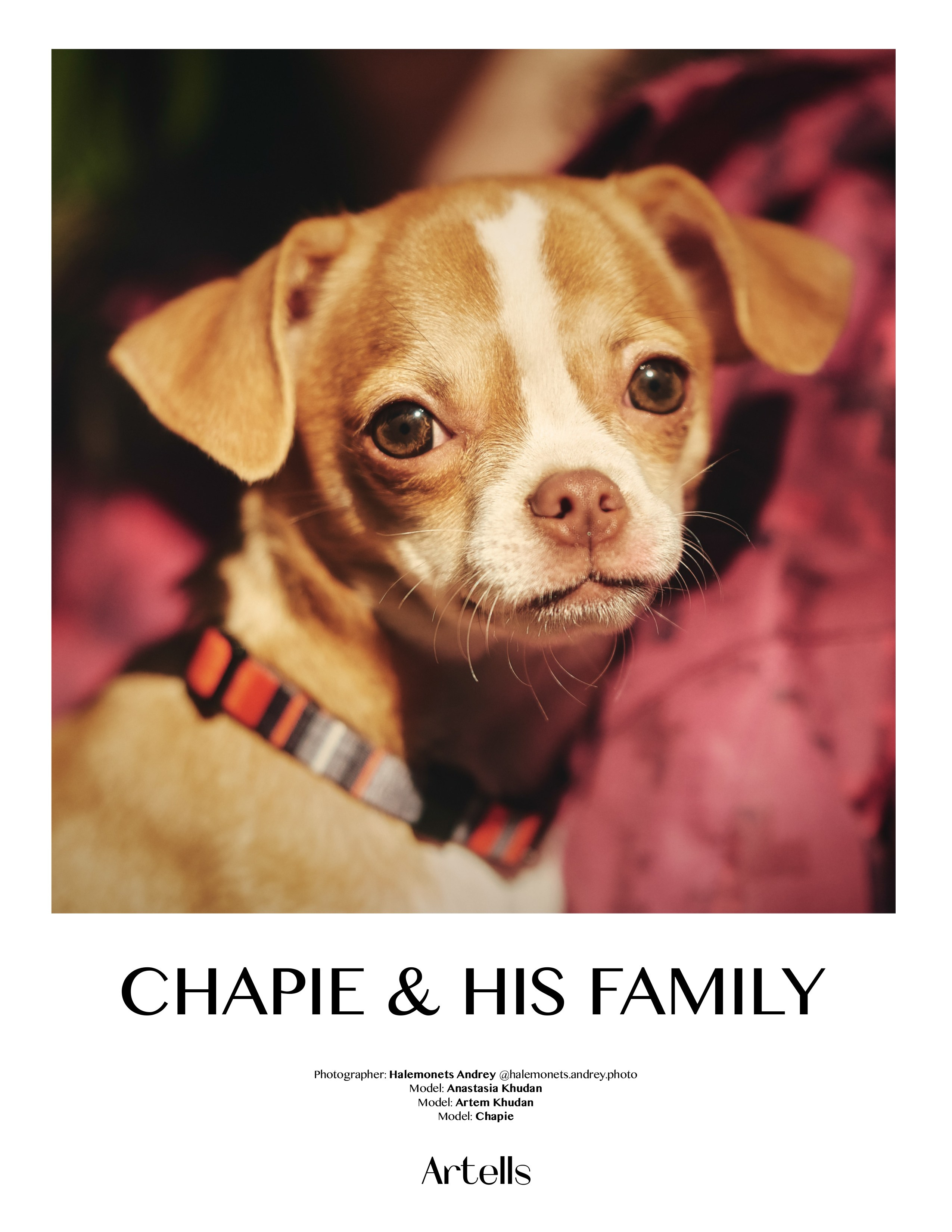 Блог Фотографа, взгляд сквозь объектив, мой творческий путь. Профессиональный Фотограф Халемонец Андрей в Кривой Рог Днепр Украина