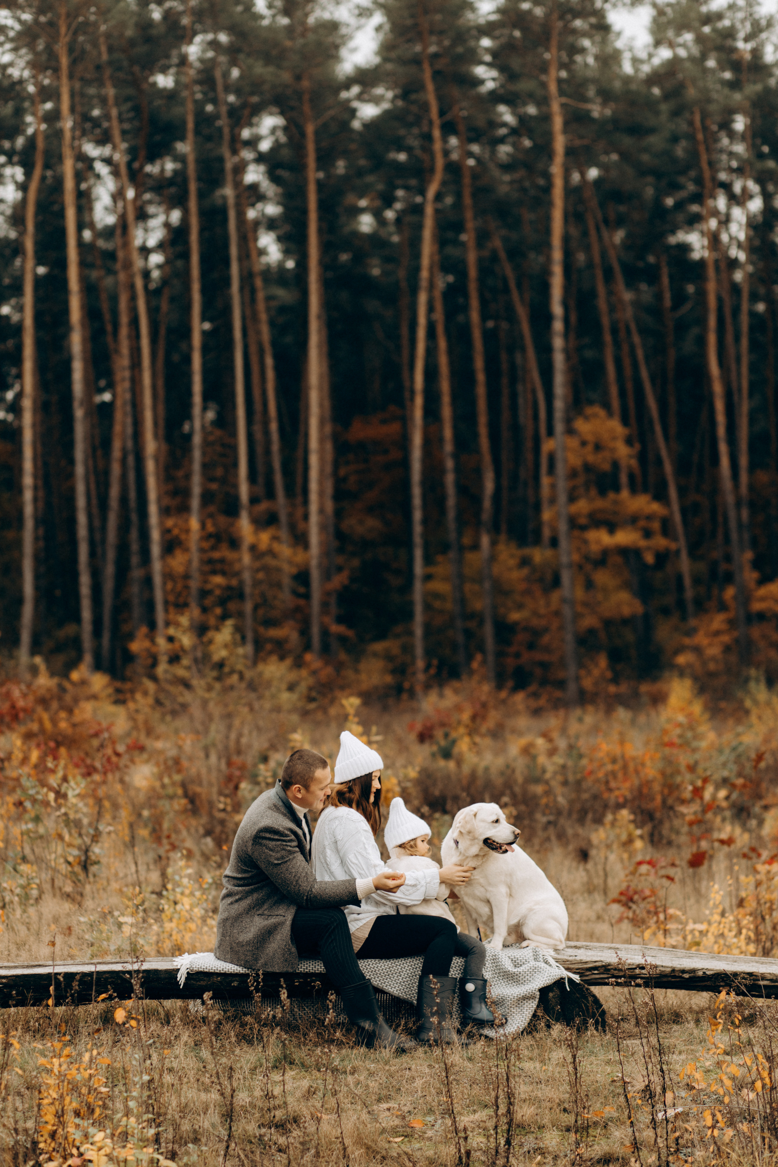 В очікуванні. Весільний та сімейний фотограф Біла Церква/Київ