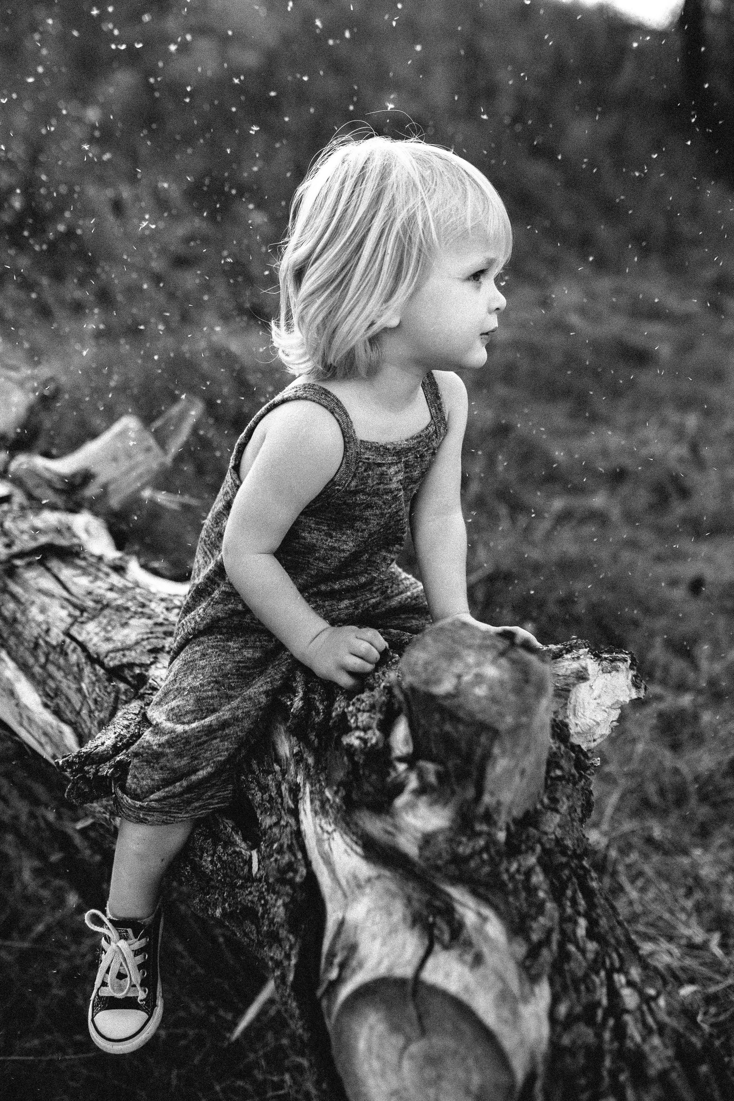 Bookahi. Весільний та сімейний фотограф Біла Церква/Київ