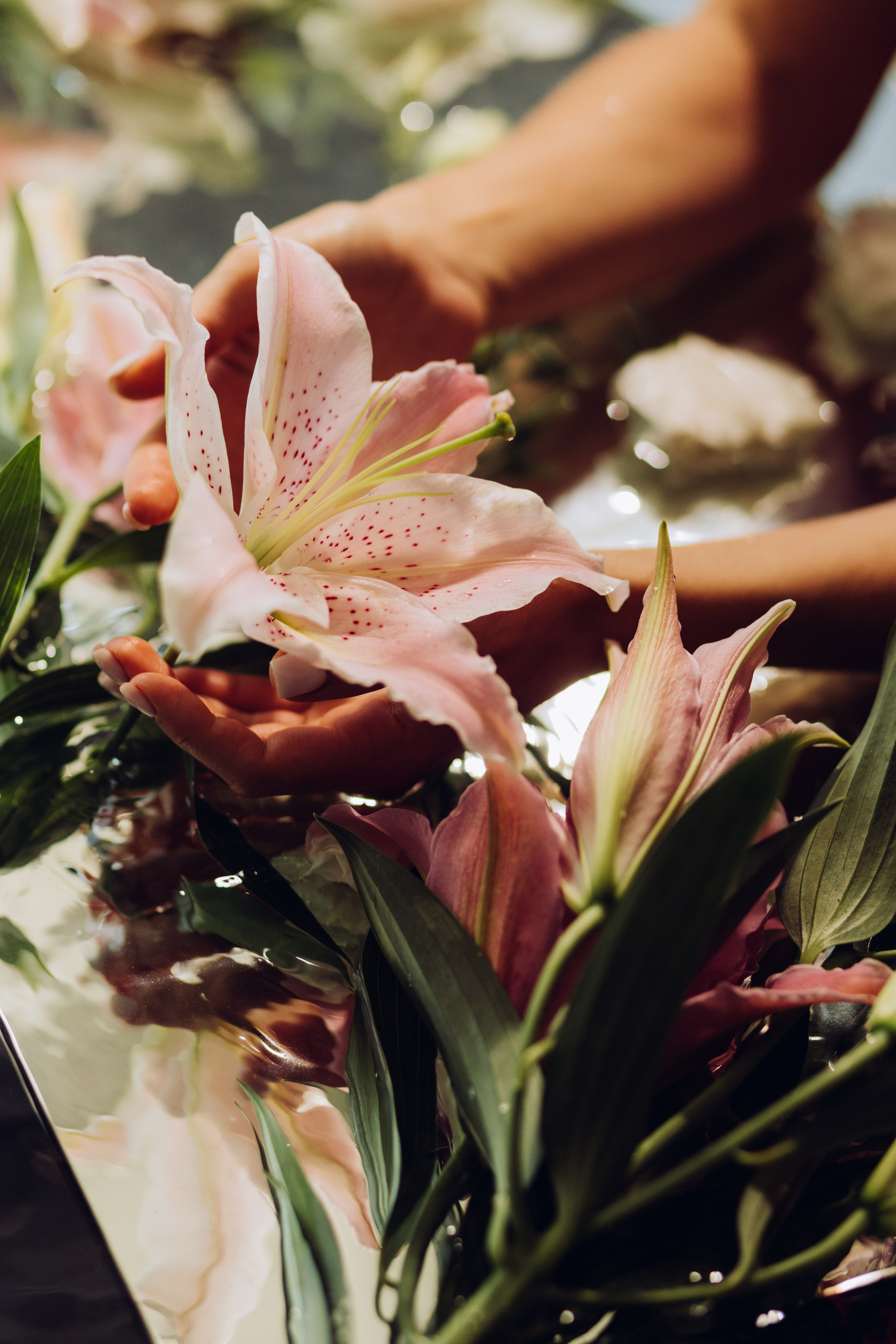 Марія Сон русалки. Весільний та сімейний фотограф Біла Церква/Київ