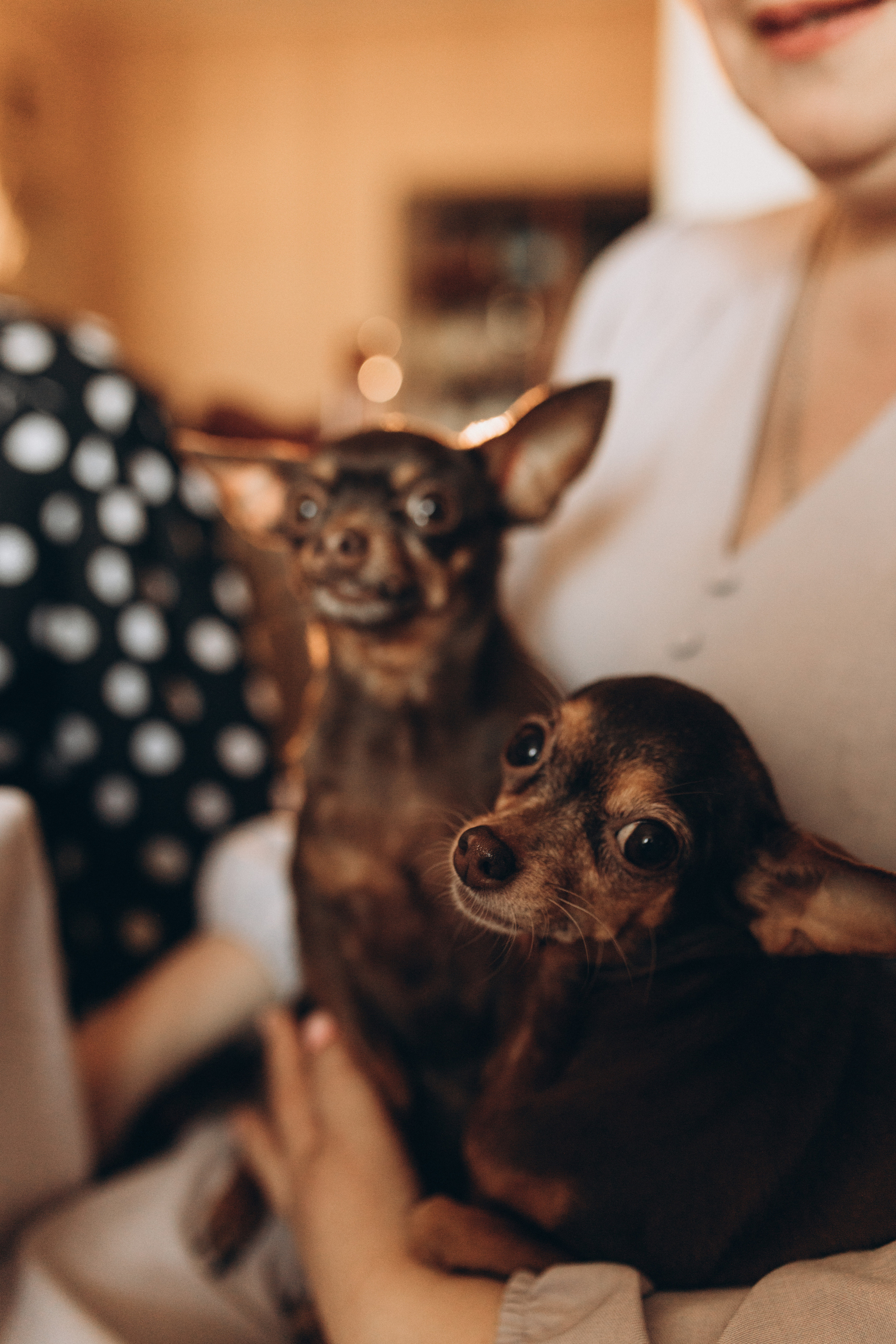 Ляльковий дім. Весільний та сімейний фотограф Біла Церква/Київ