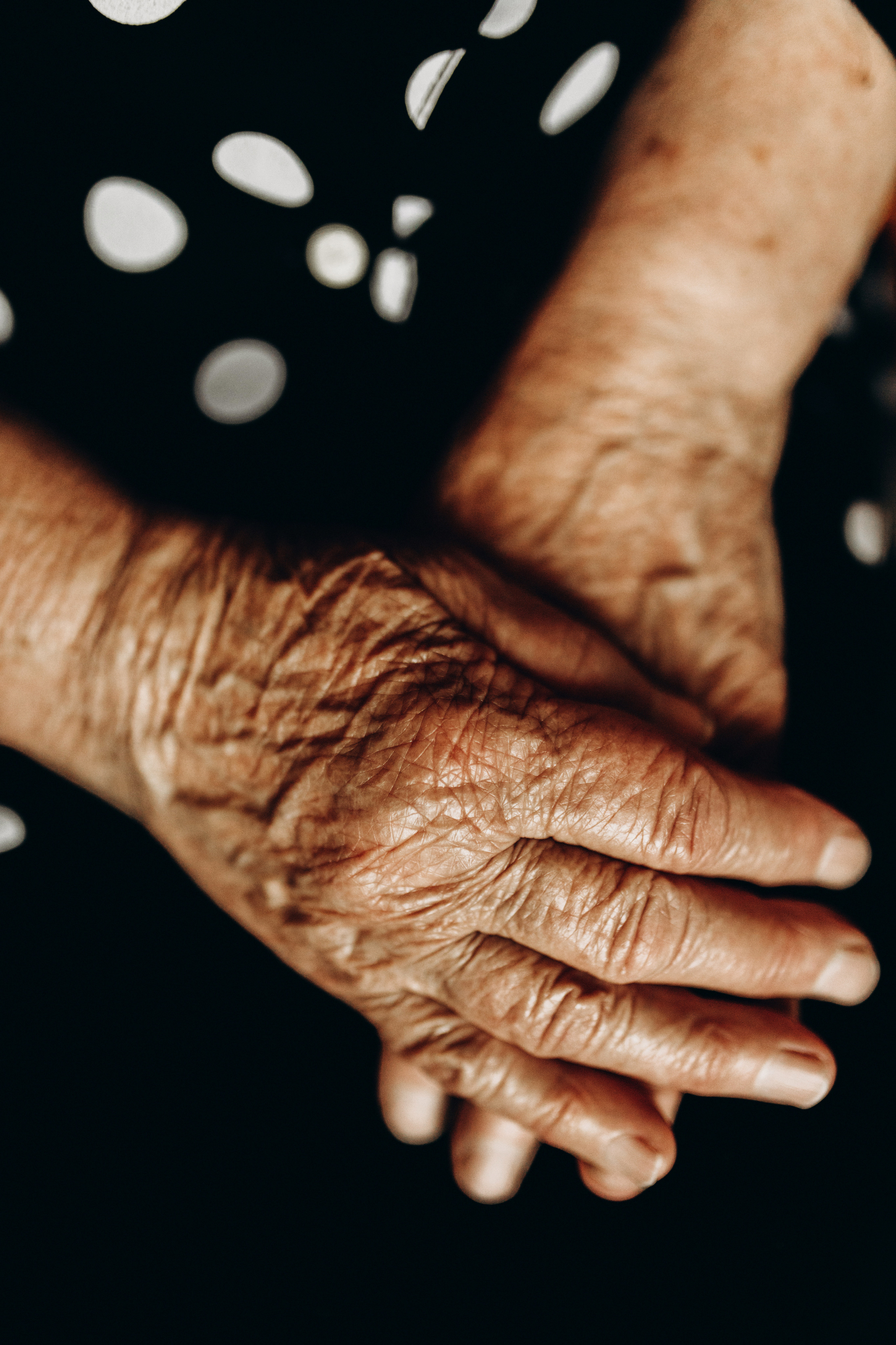 Ляльковий дім. Весільний та сімейний фотограф Біла Церква/Київ