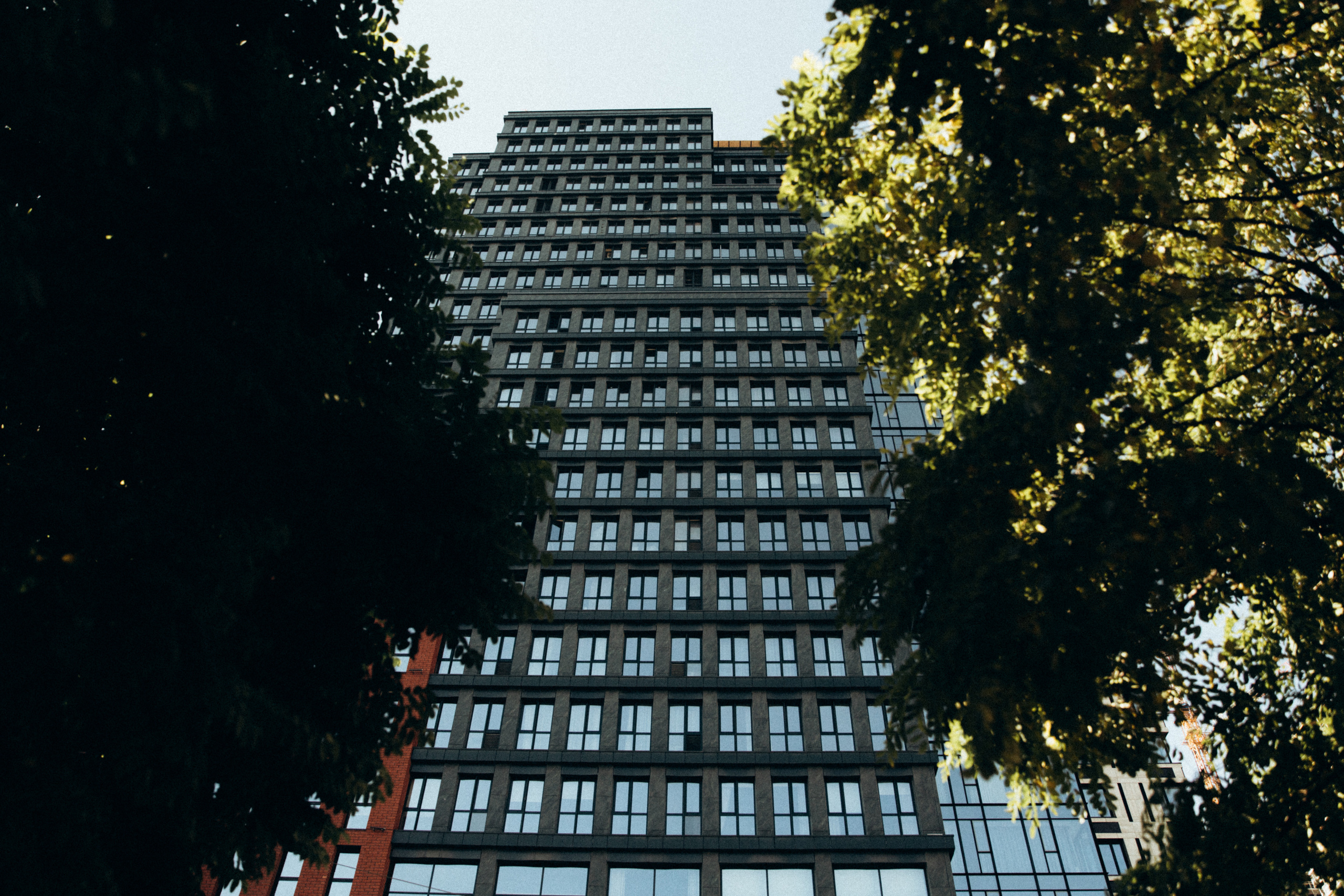 LOVE IS CINEMA. Весільний та сімейний фотограф Біла Церква/Київ