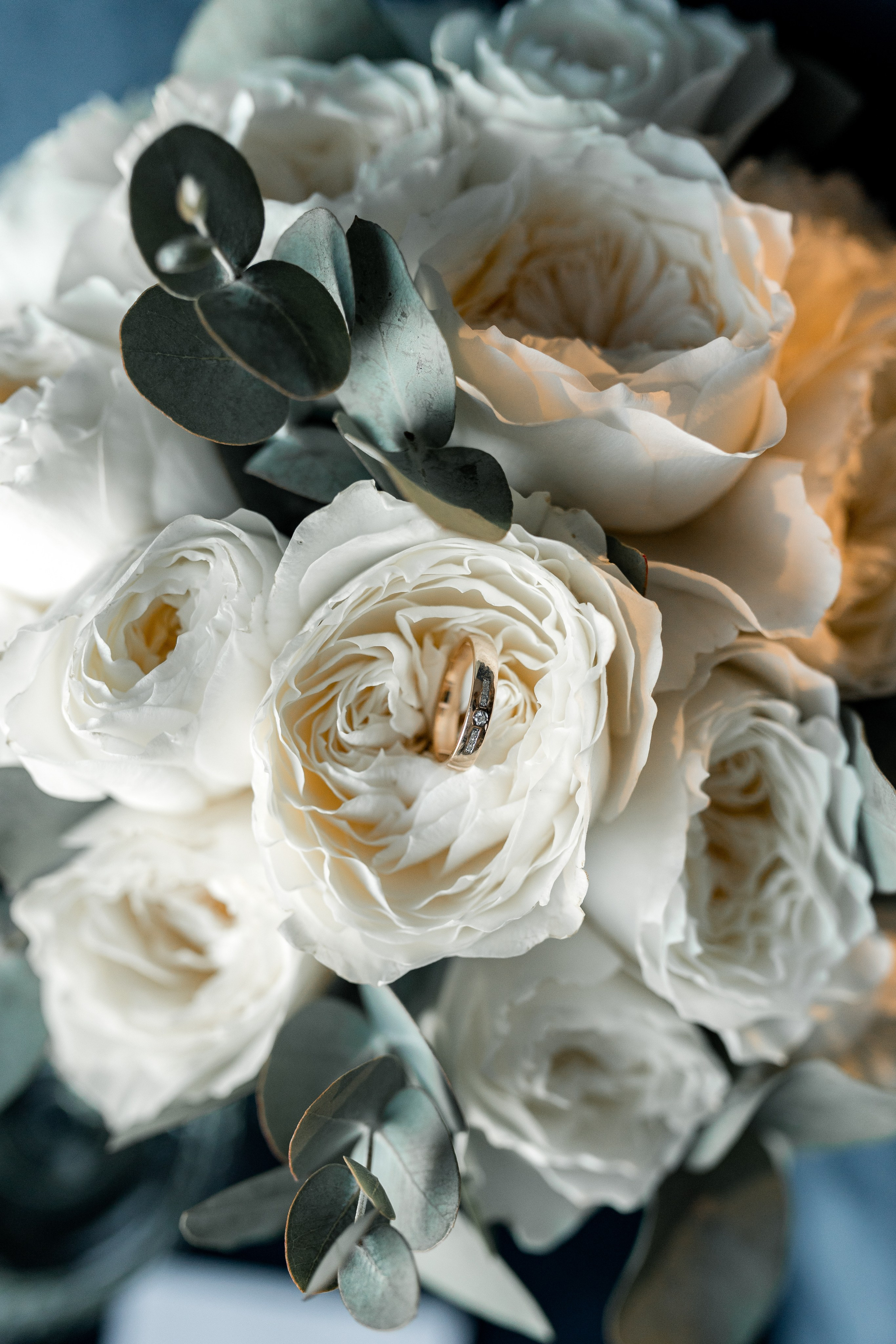 Каріна&Богдан. Весільний та сімейний фотограф Біла Церква/Київ