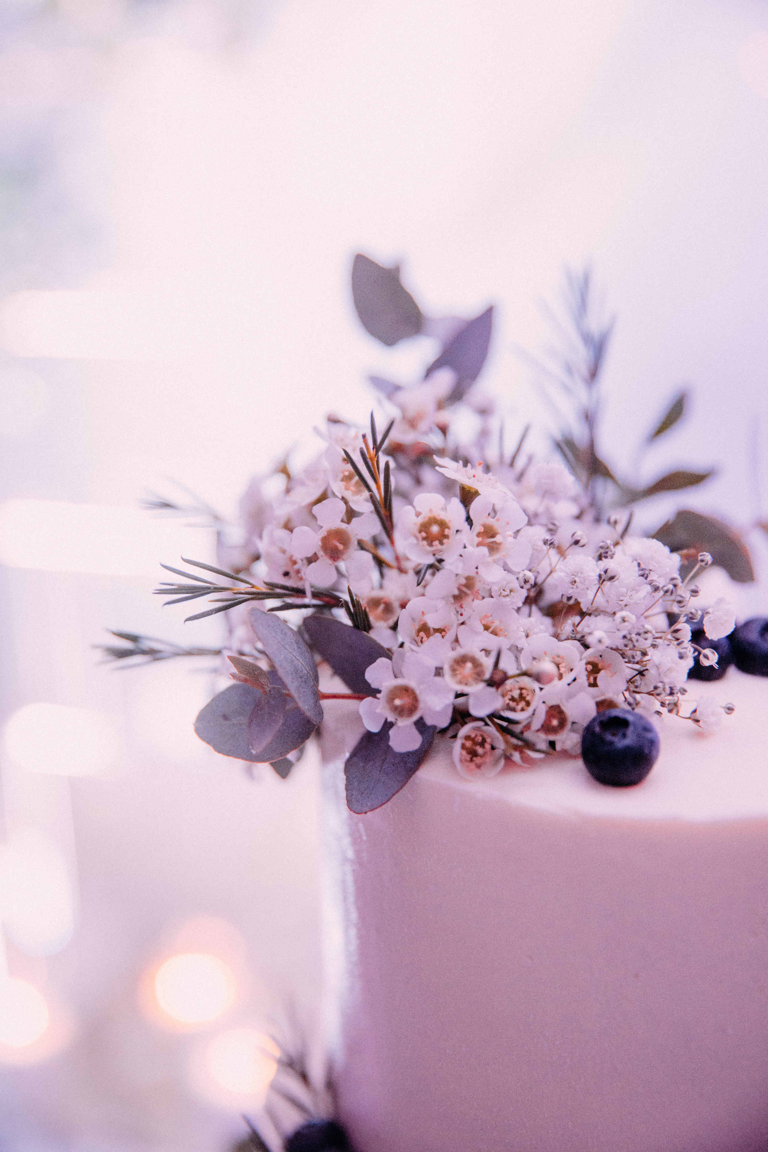 Владислав&Аліна. Весільний та сімейний фотограф Біла Церква/Київ