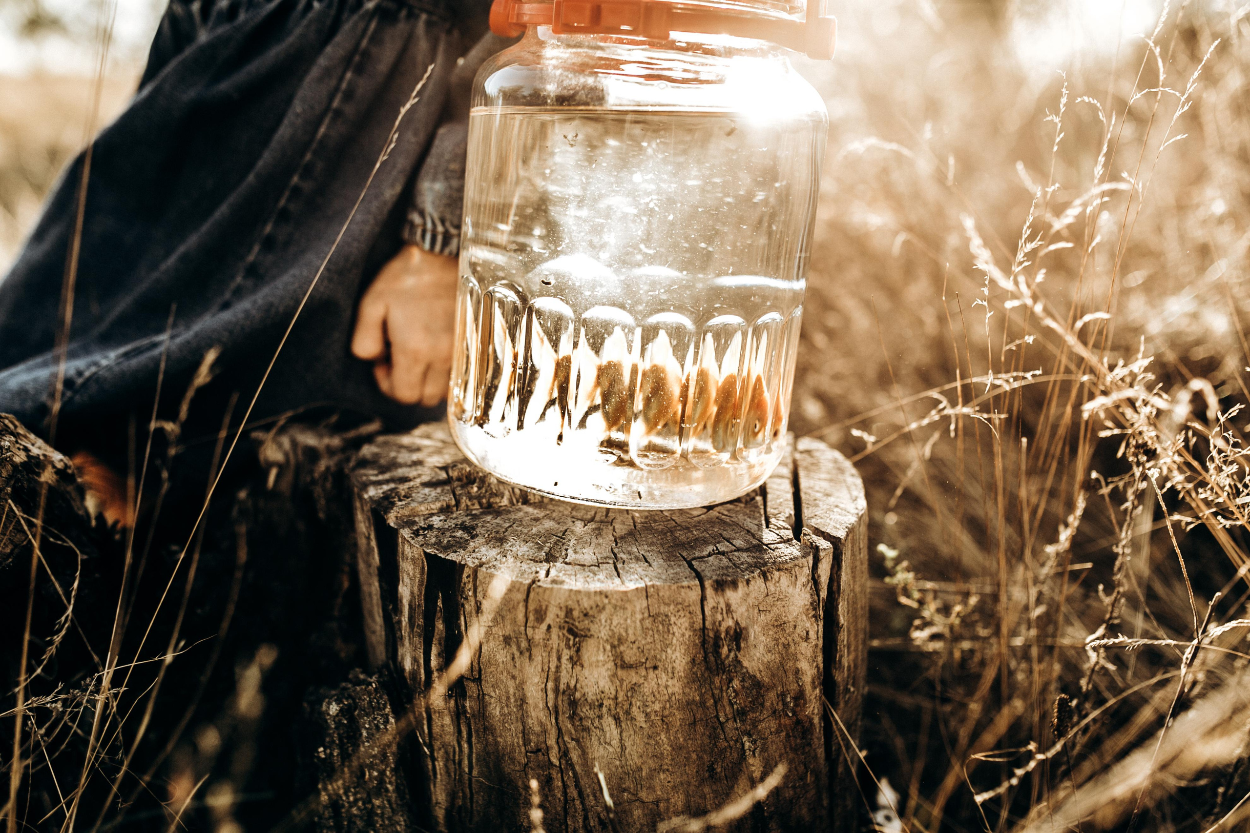 Марійка - сміхотушка. Весільний та сімейний фотограф Біла Церква/Київ