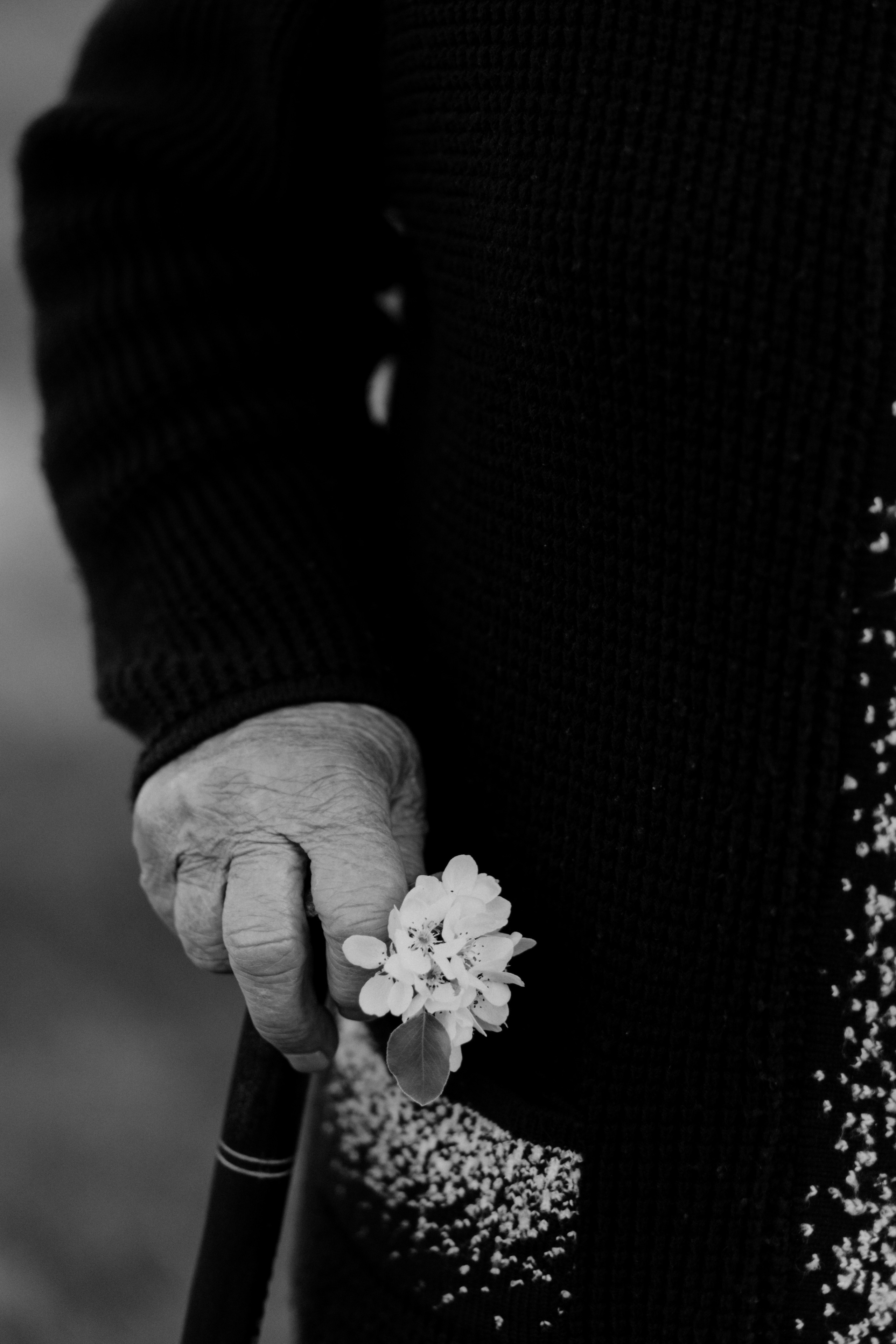 Ляльковий дім. Весільний та сімейний фотограф Біла Церква/Київ