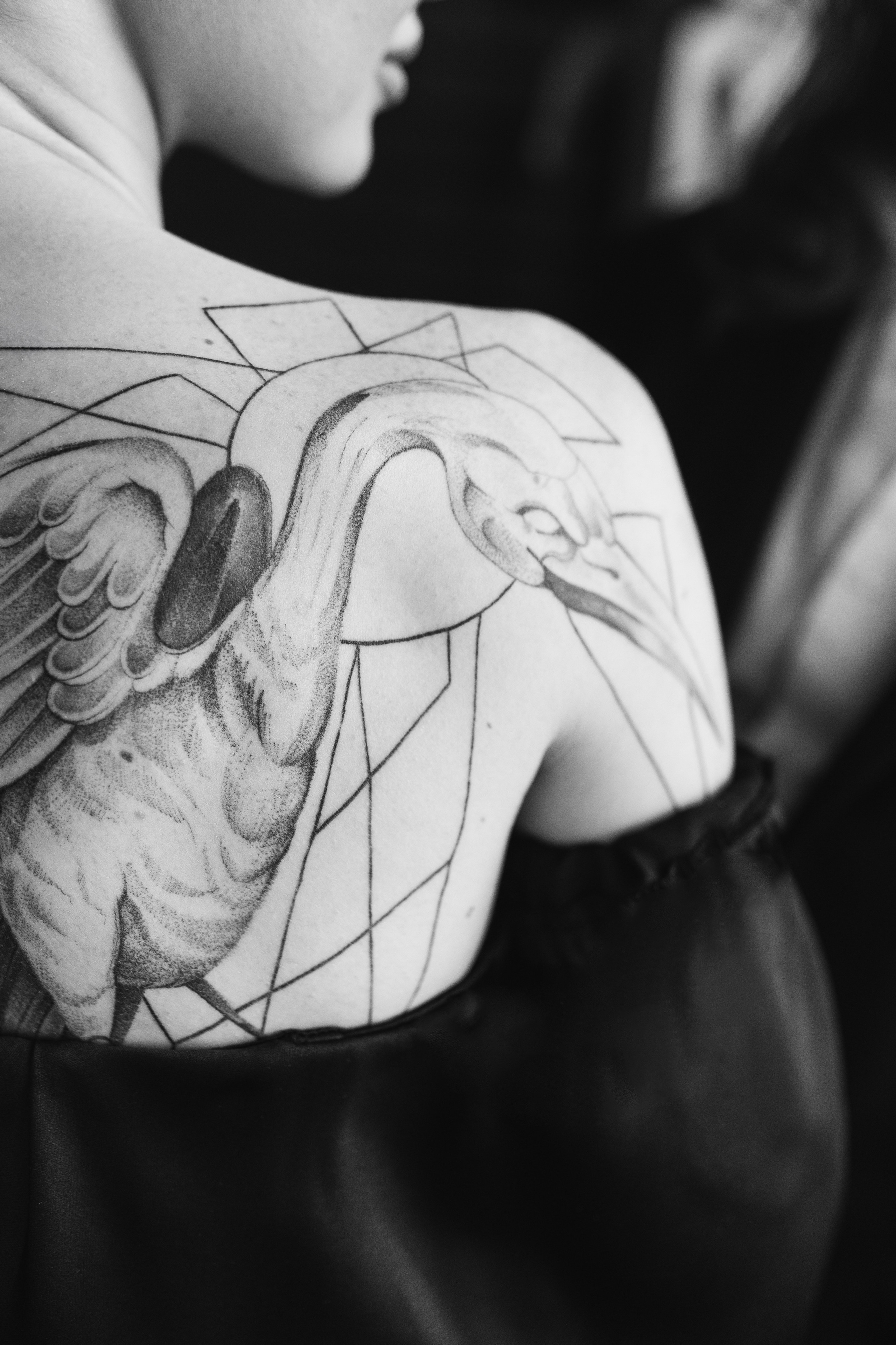 Lion&Black Pantera. Весільний та сімейний фотограф Біла Церква/Київ