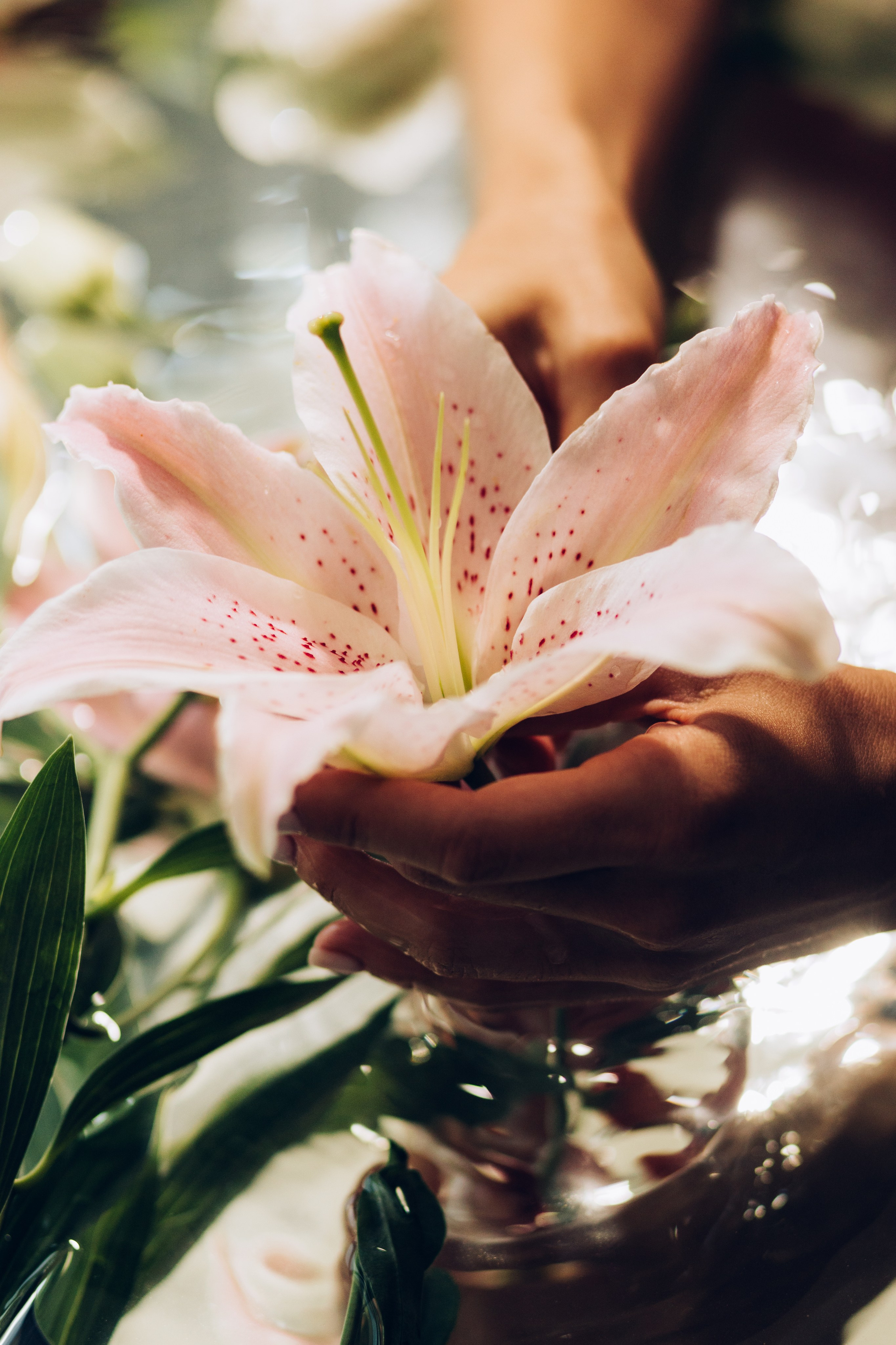 Марія Сон русалки. Весільний та сімейний фотограф Біла Церква/Київ