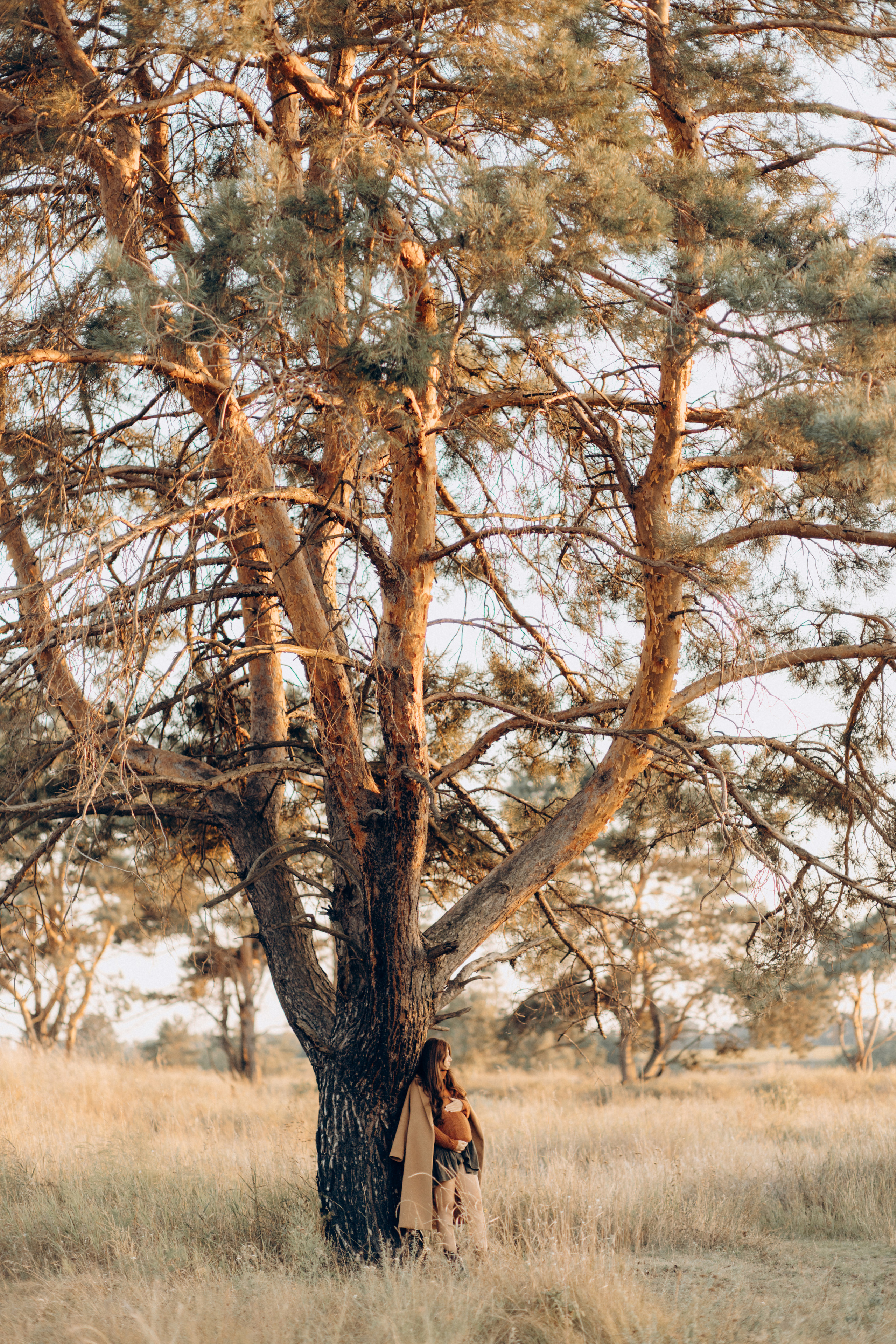 Сім’я Маргарити і Віталія. Весільний та сімейний фотограф Біла Церква/Київ
