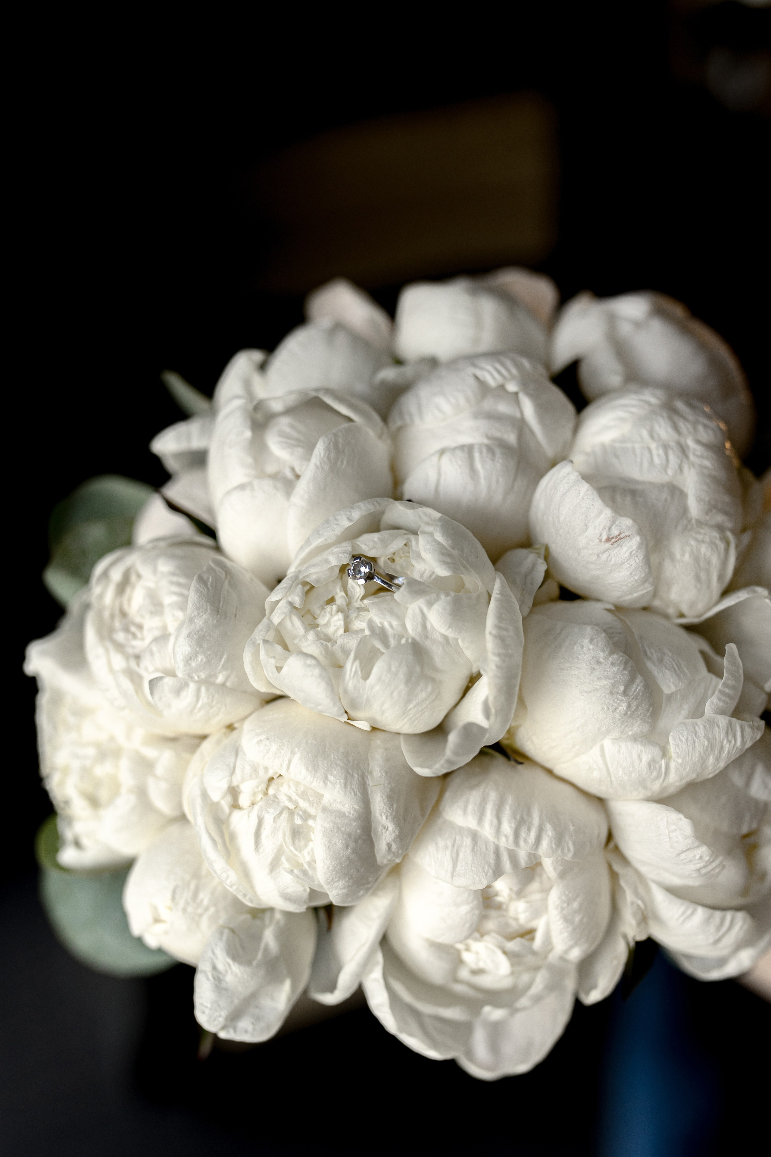 Sasha&Maksym. Весільний та сімейний фотограф Біла Церква/Київ