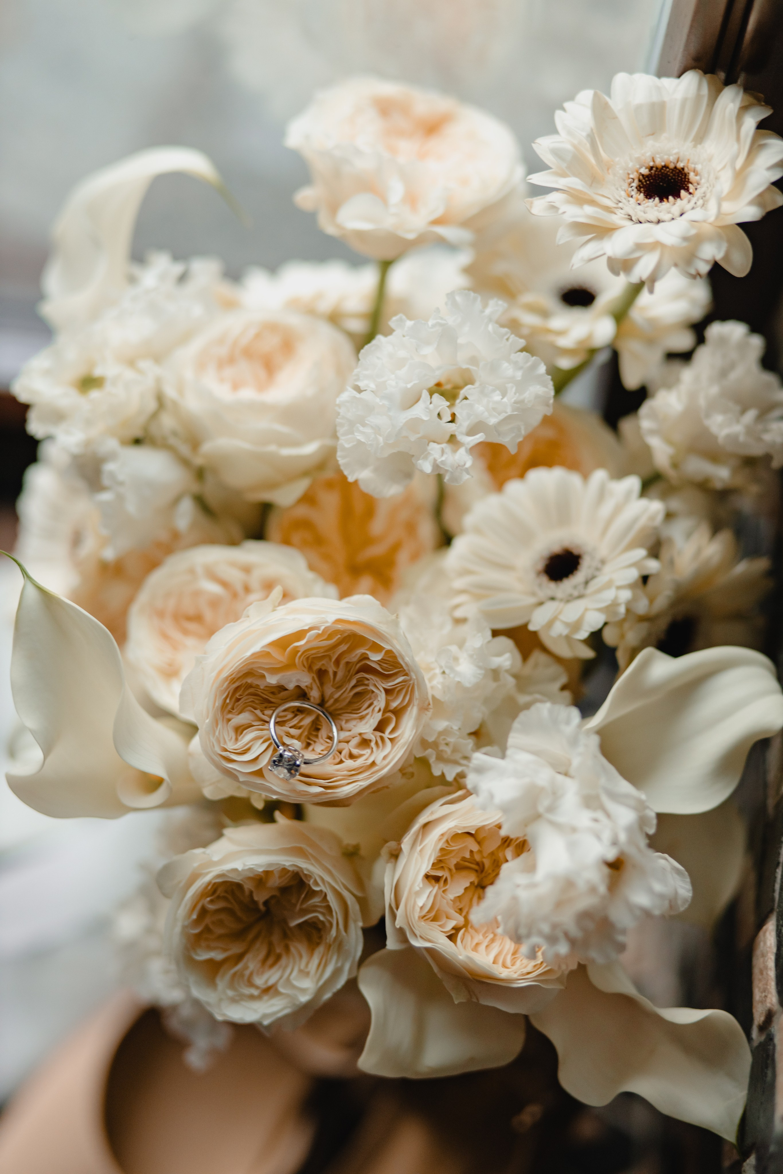 Дара&Максим. Весільний та сімейний фотограф Біла Церква/Київ