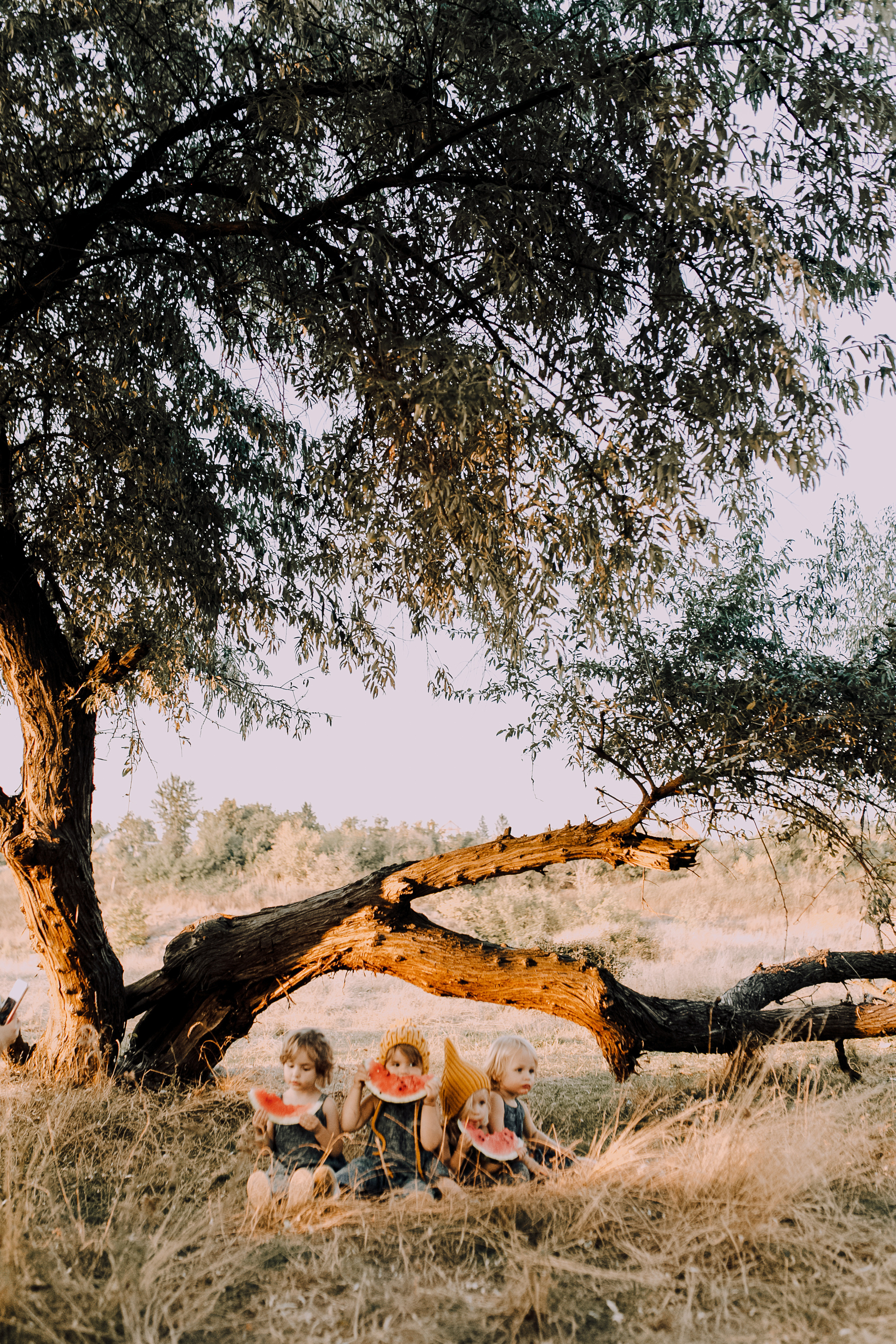 Bookahi. Весільний та сімейний фотограф Біла Церква/Київ