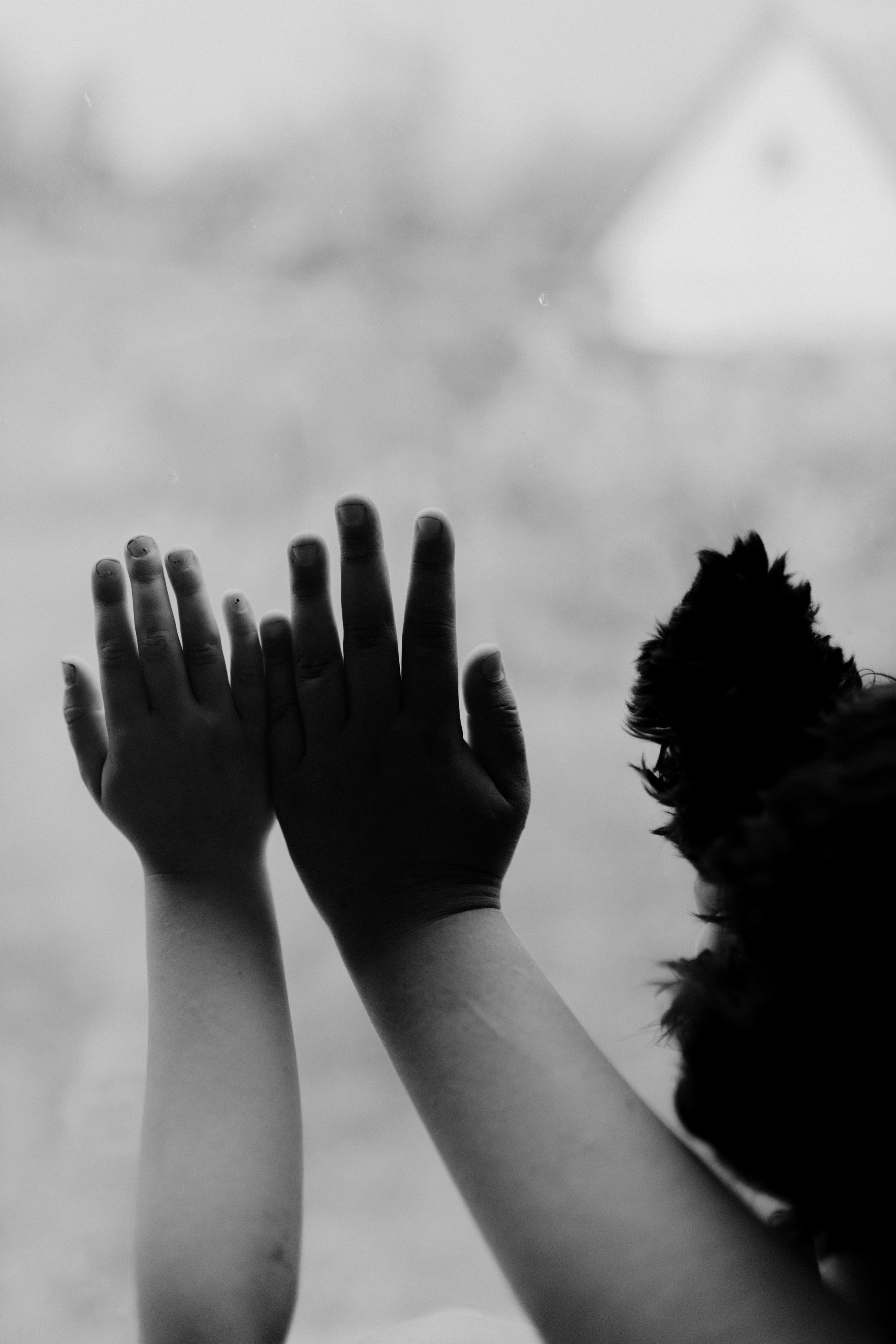 Цукерочки. Весільний та сімейний фотограф Біла Церква/Київ