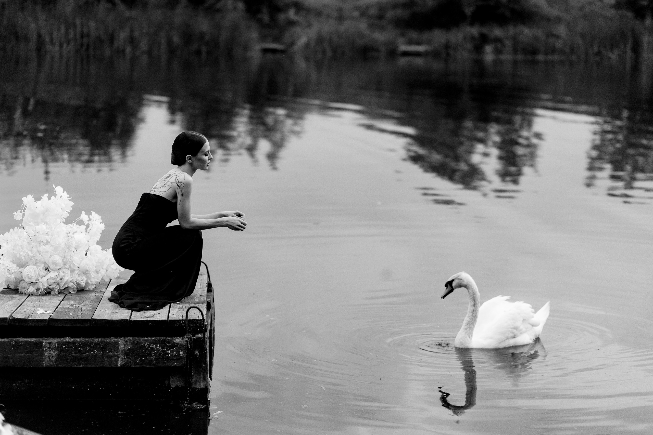 Lion&Black Pantera. Весільний та сімейний фотограф Біла Церква/Київ