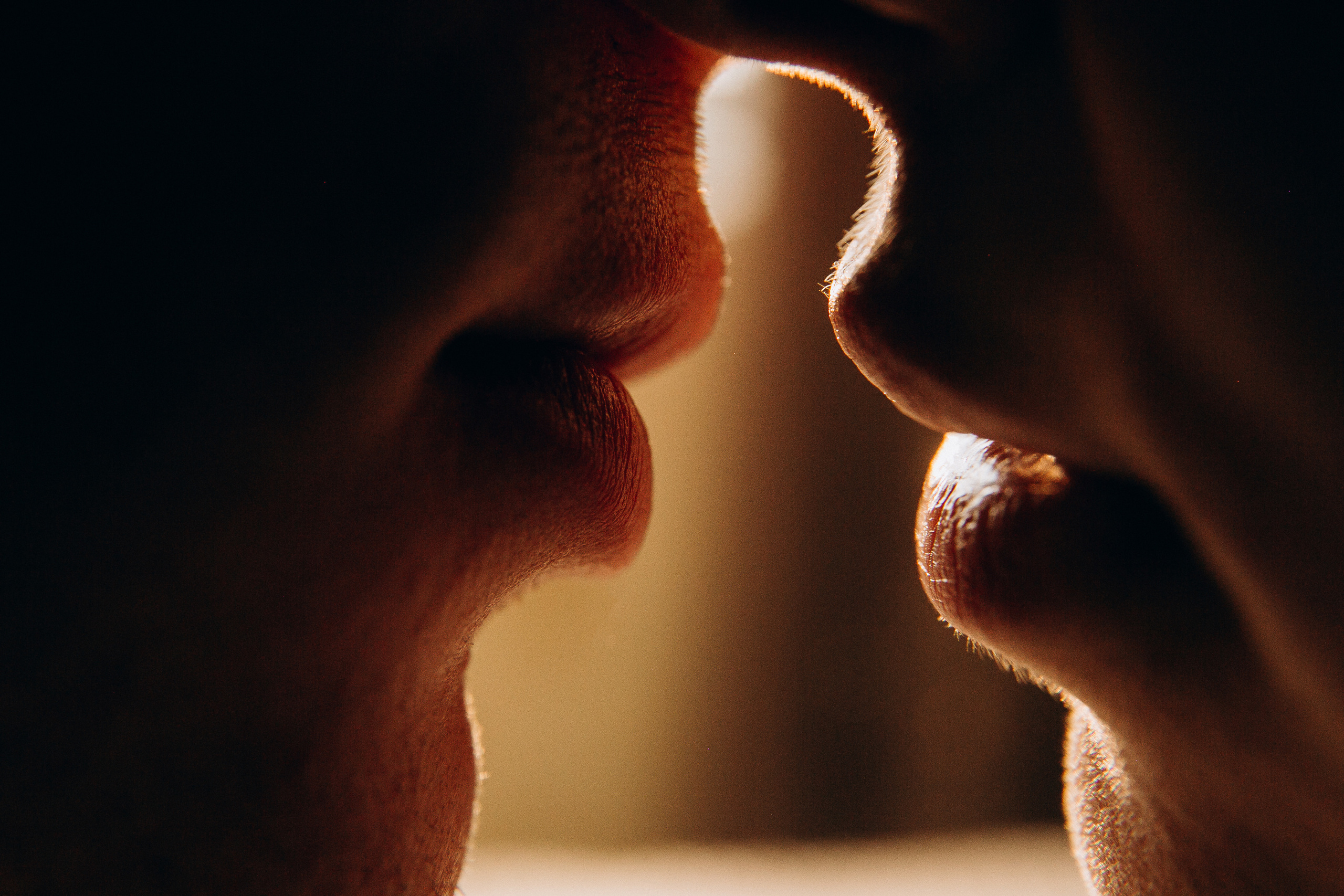 Влад, Яна, Дьома. Весільний та сімейний фотограф Біла Церква/Київ