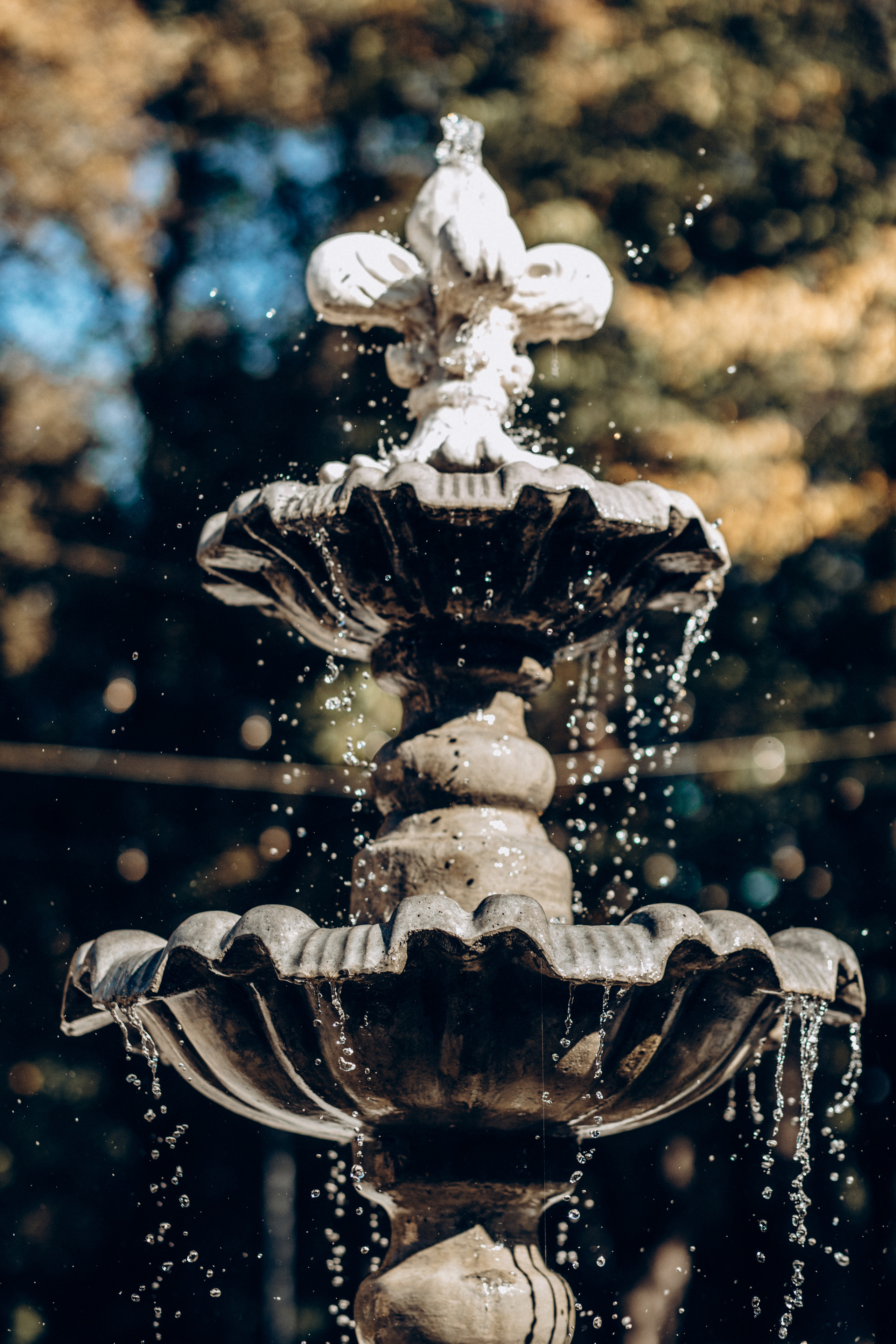 Андрій&Ірина. Весільний та сімейний фотограф Біла Церква/Київ