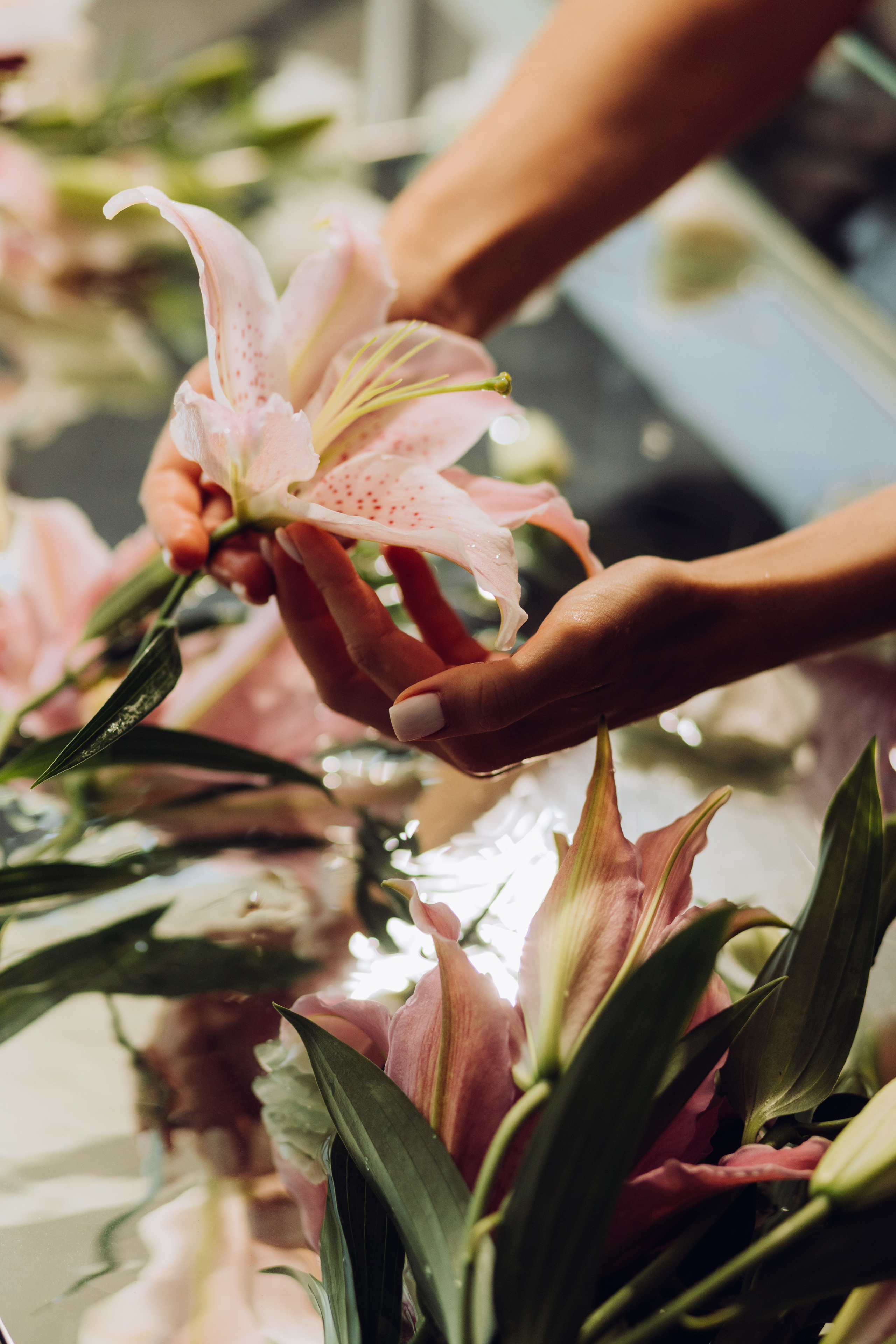 Марія Сон русалки. Весільний та сімейний фотограф Біла Церква/Київ