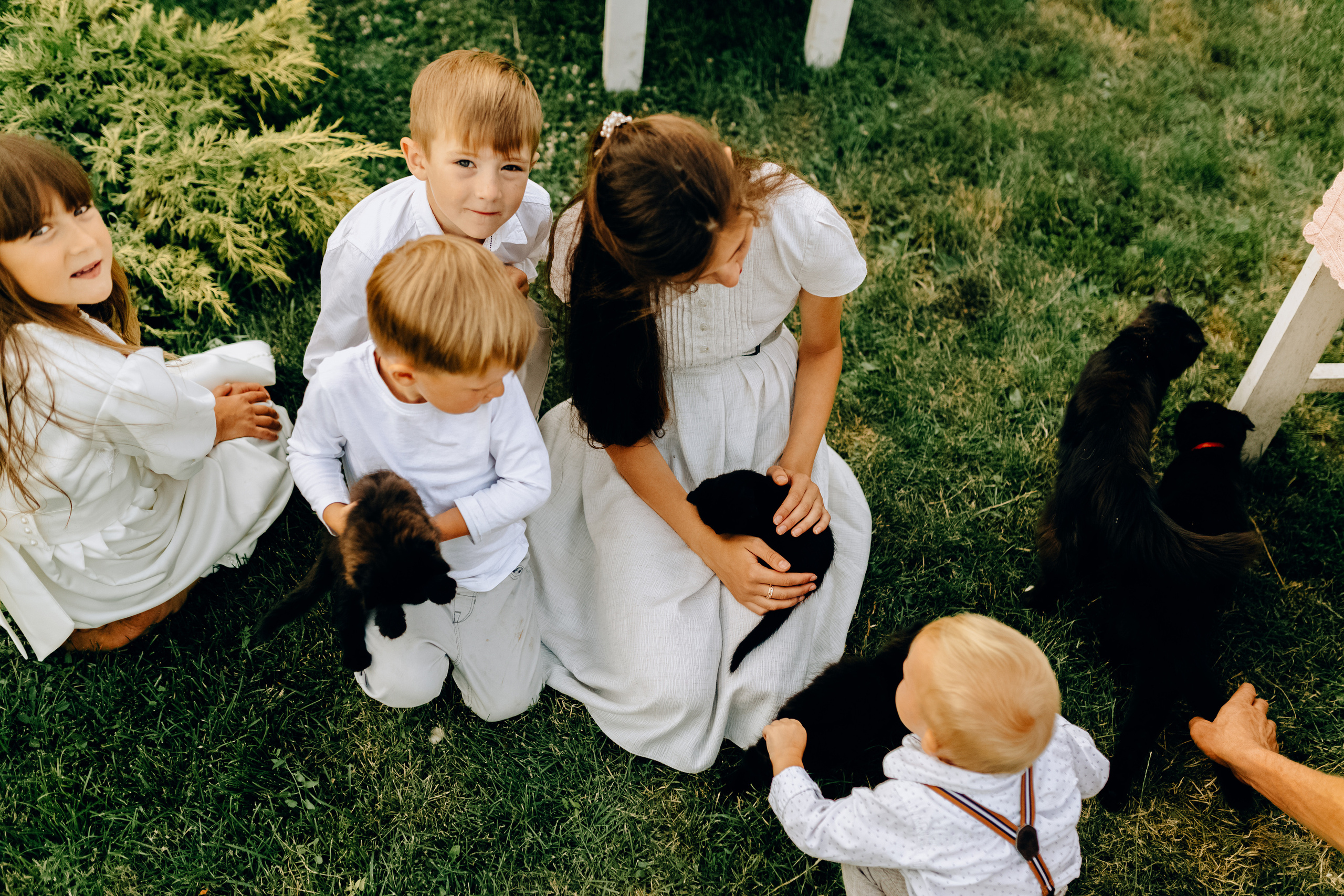 Марципановий дім. Весільний та сімейний фотограф Біла Церква/Київ