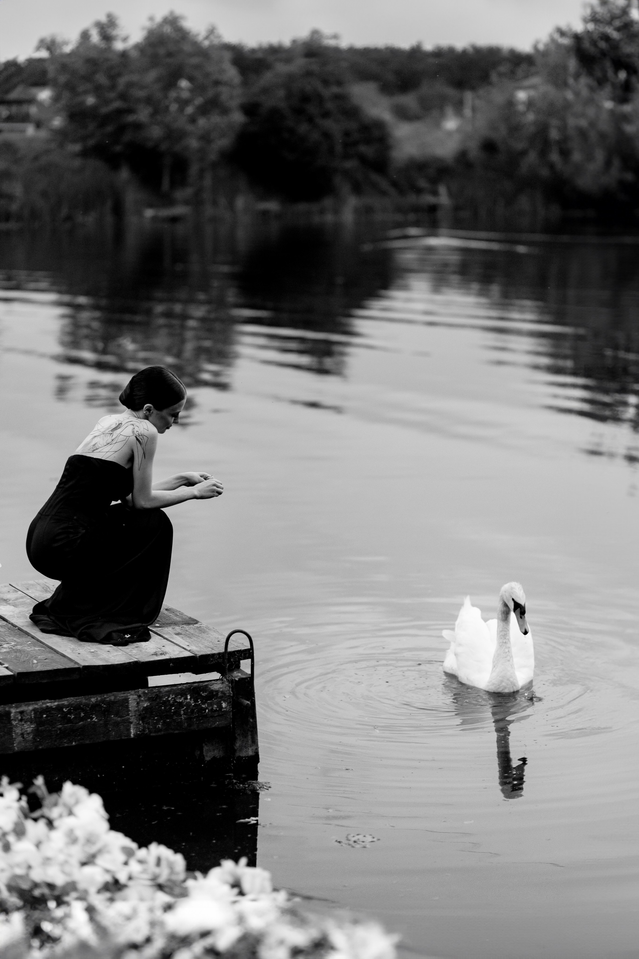 Lion&Black Pantera. Весільний та сімейний фотограф Біла Церква/Київ