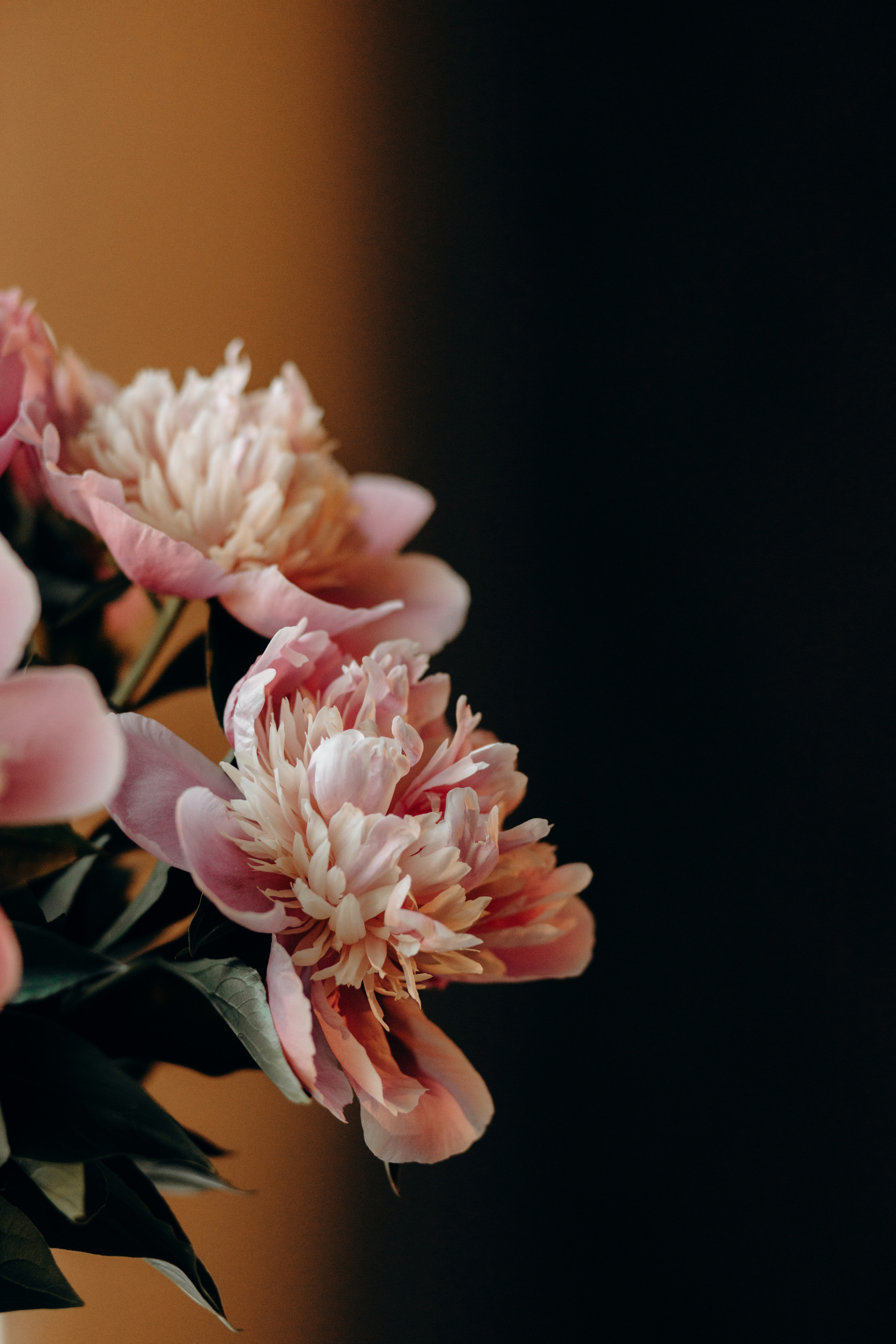 В гостях у бабулі з дідом. Весільний та сімейний фотограф Біла Церква/Київ