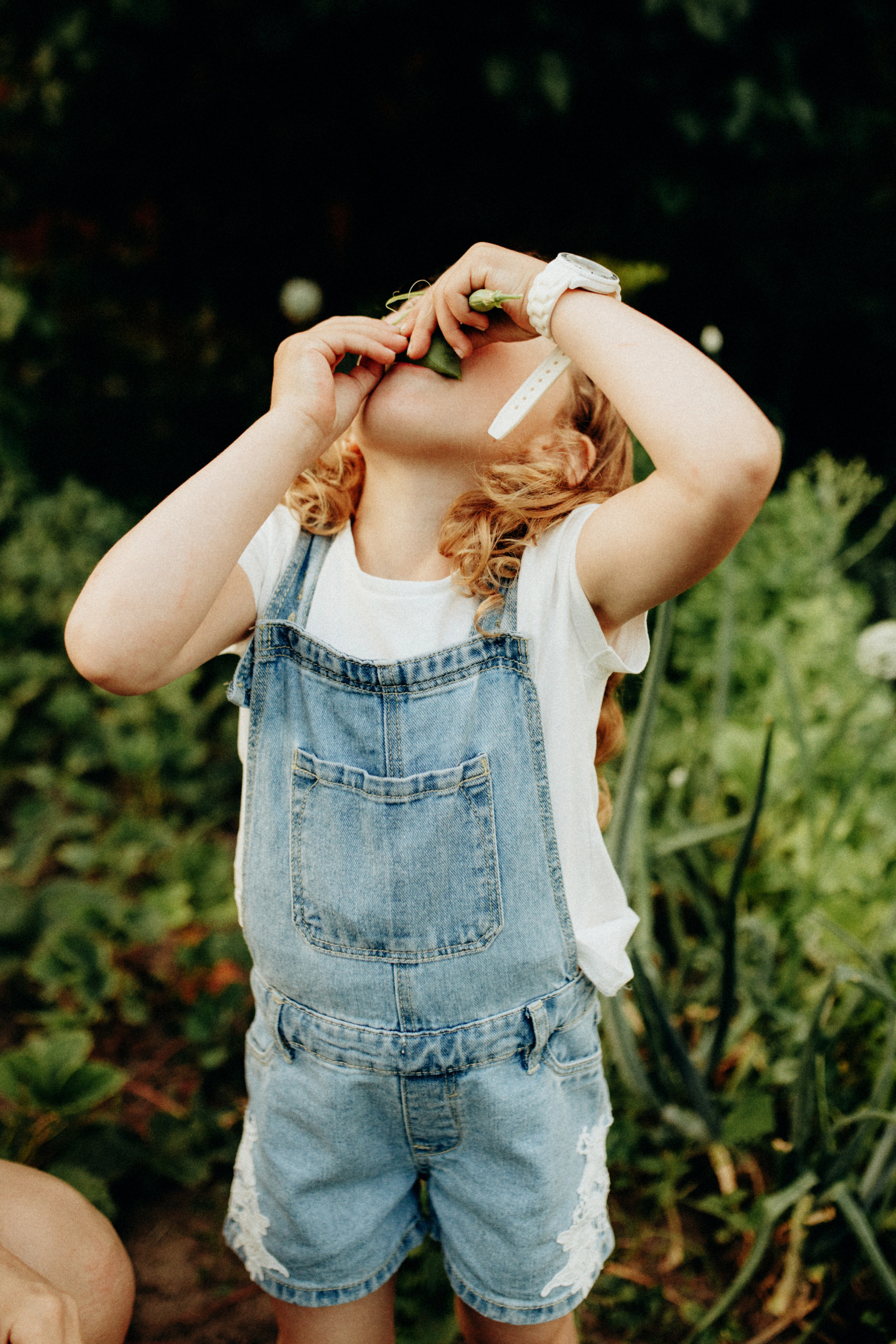 Цукерочки. Весільний та сімейний фотограф Біла Церква/Київ