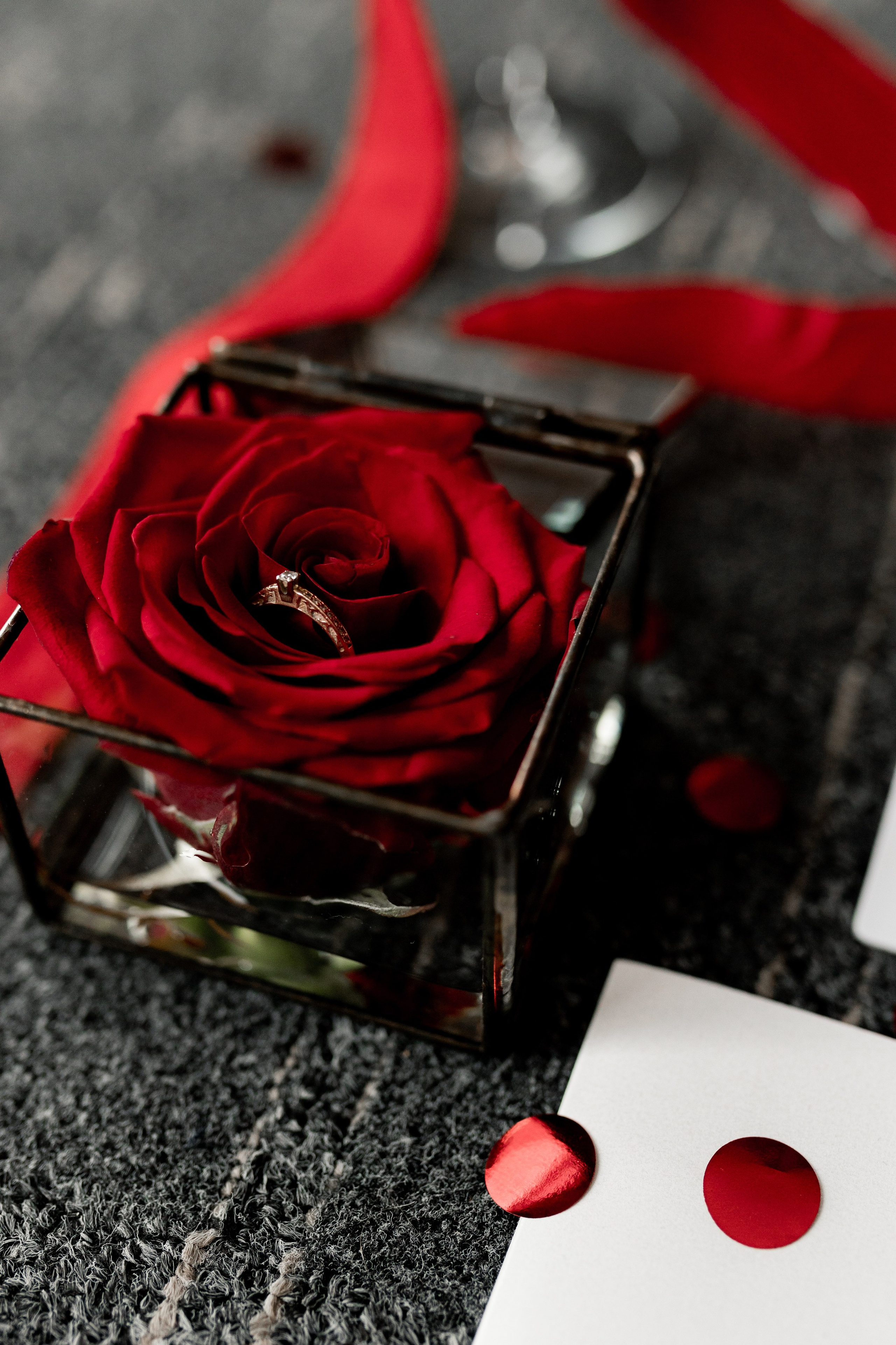 Dream rouge. Весільний та сімейний фотограф Біла Церква/Київ